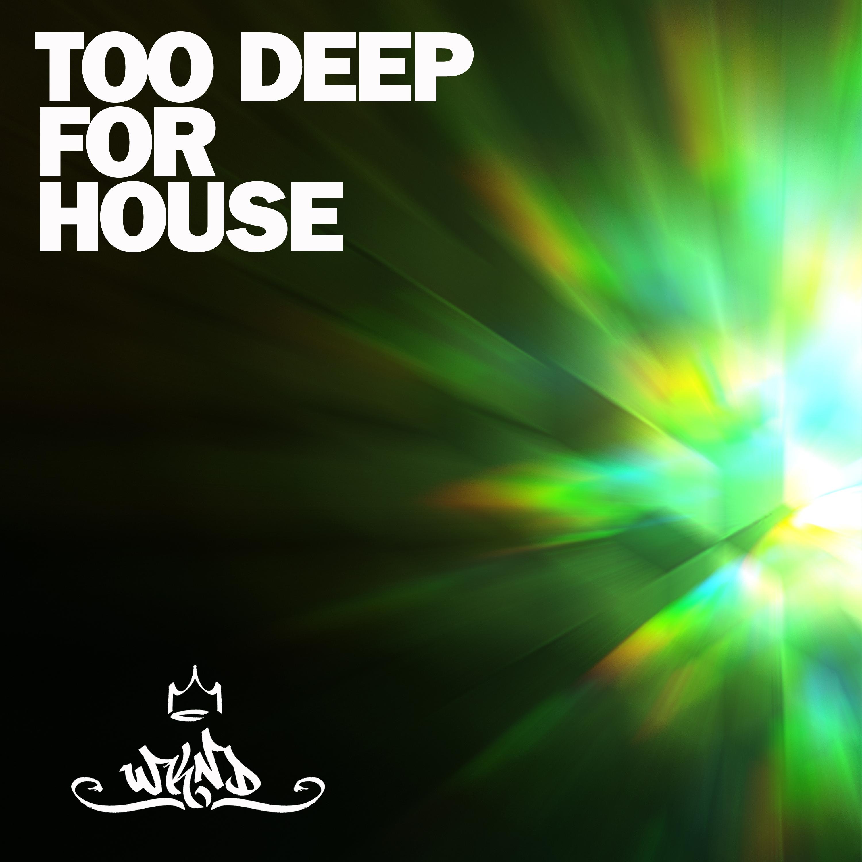 Too Deep for House, Vol. 1