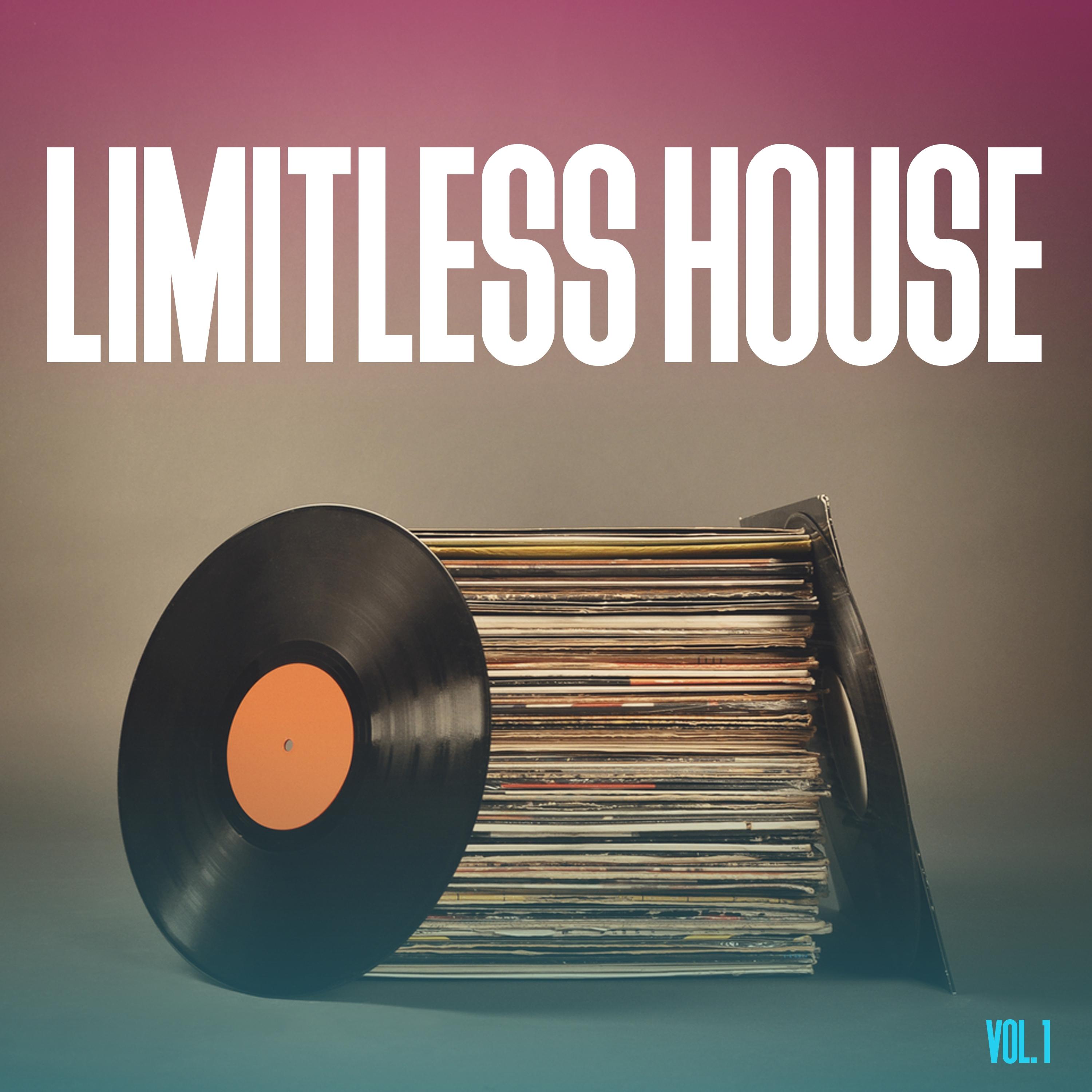 Limitless House, Vol. 1