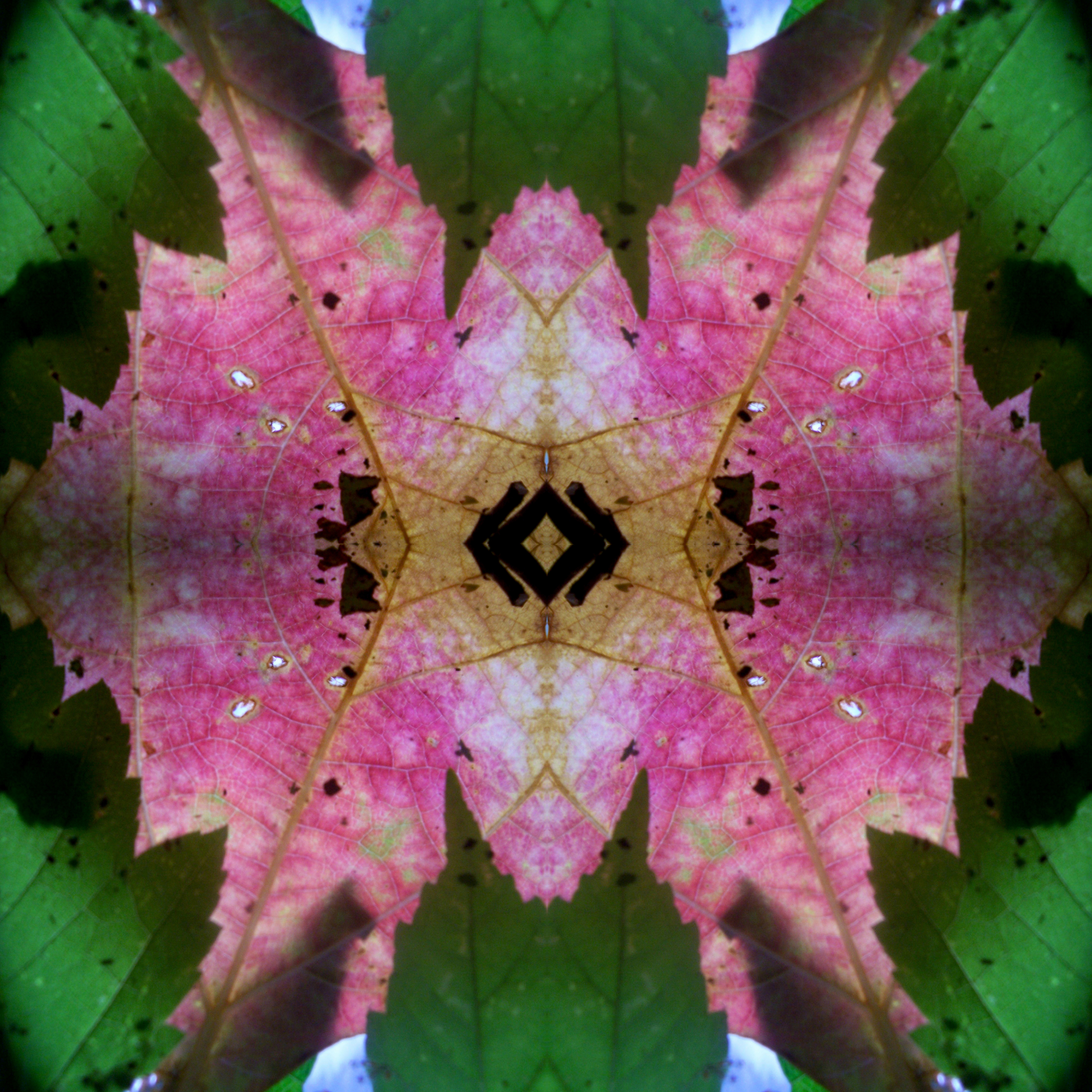 Aaj Bikeler Dake Banasree Sengupta