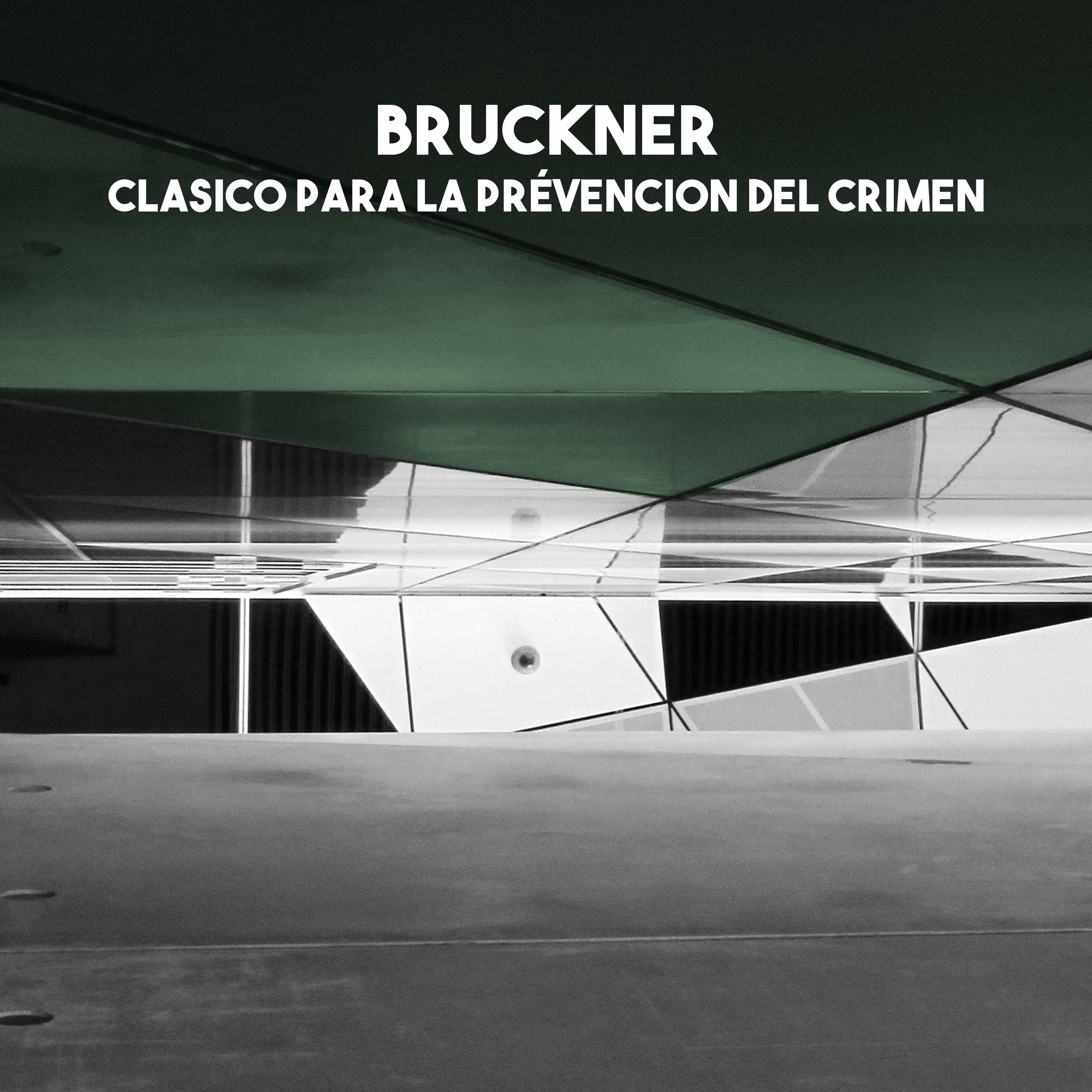 Bruckner: Clasico para la pre vencion del crimen