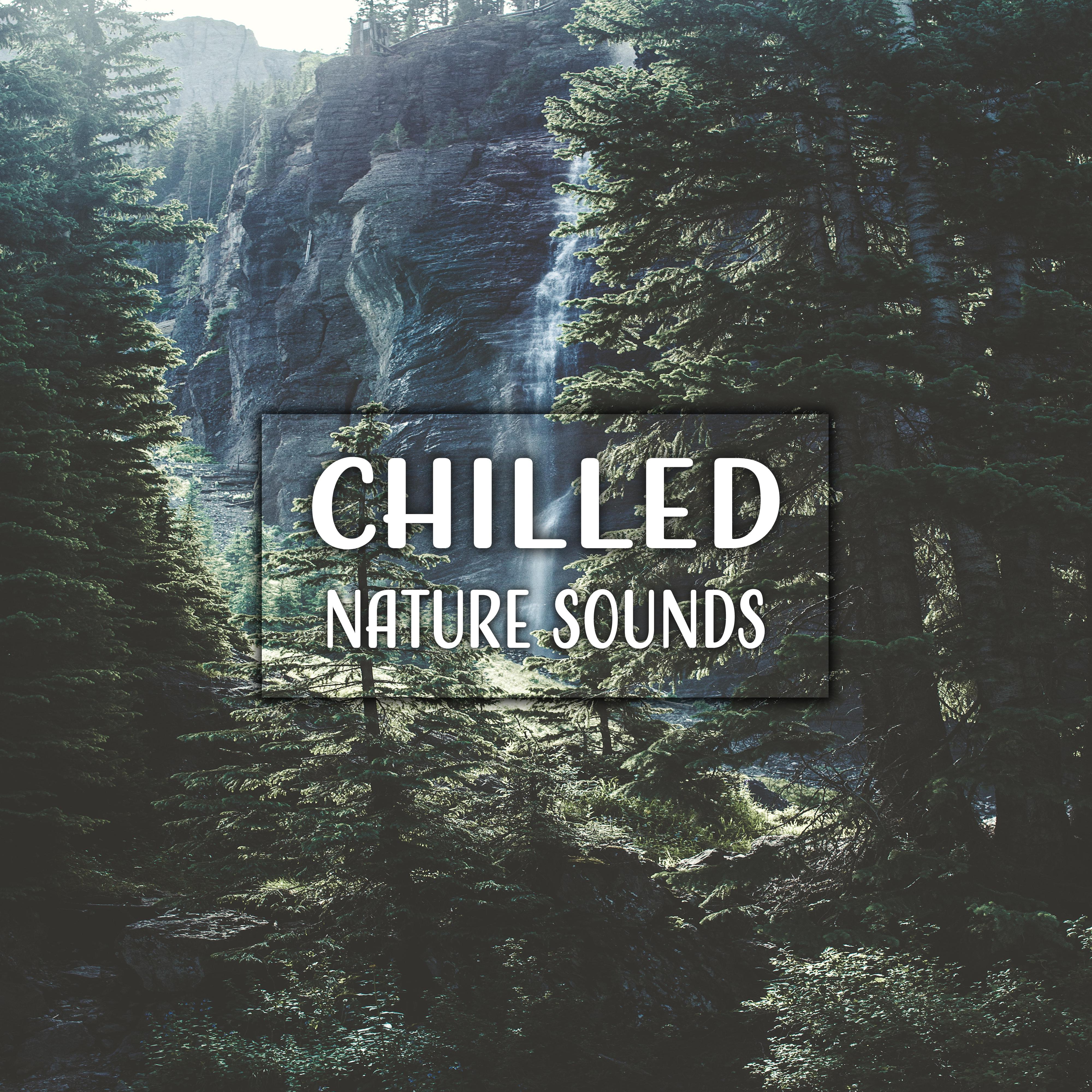 Chilled Nature Sounds  Relaxing Music, Nature Sounds, Rest, Zen, Bliss, Healing Music Therapy