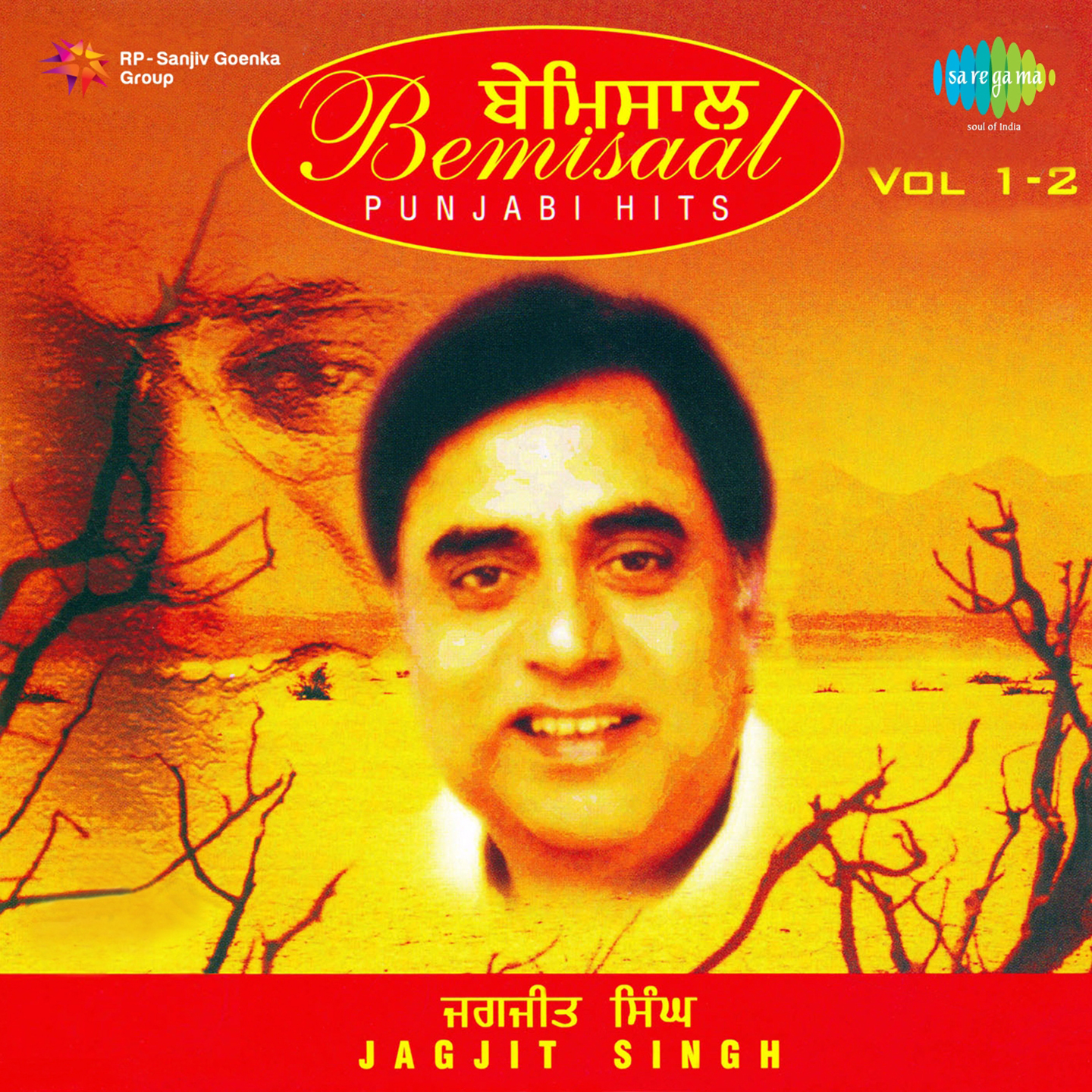 Bemisaal Jagjit Singh