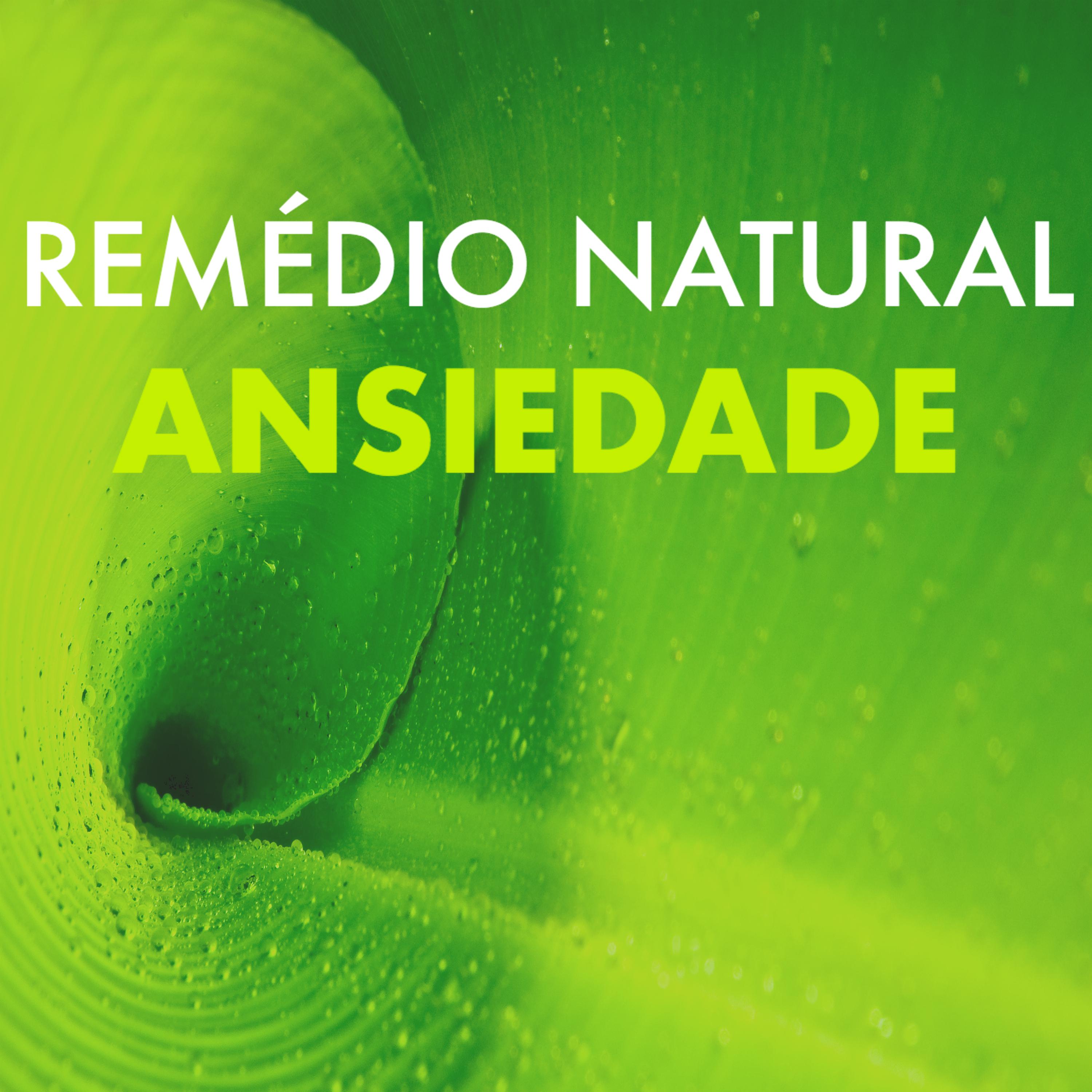 Reme dio Natural Ansiedade  Ondas Ambientes e Hipno ticos Sons da Natureza