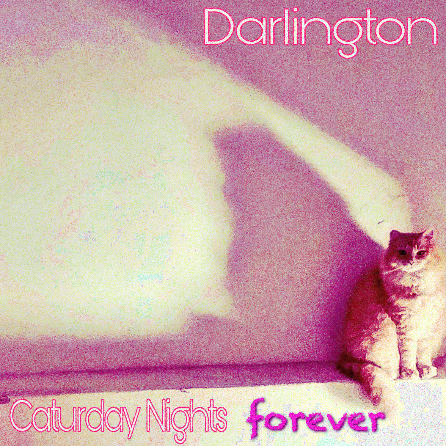 Caturday Nights Forever