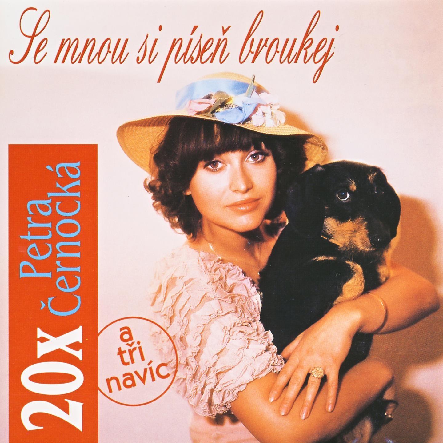 Den Na Letni ch Tr i ti ch