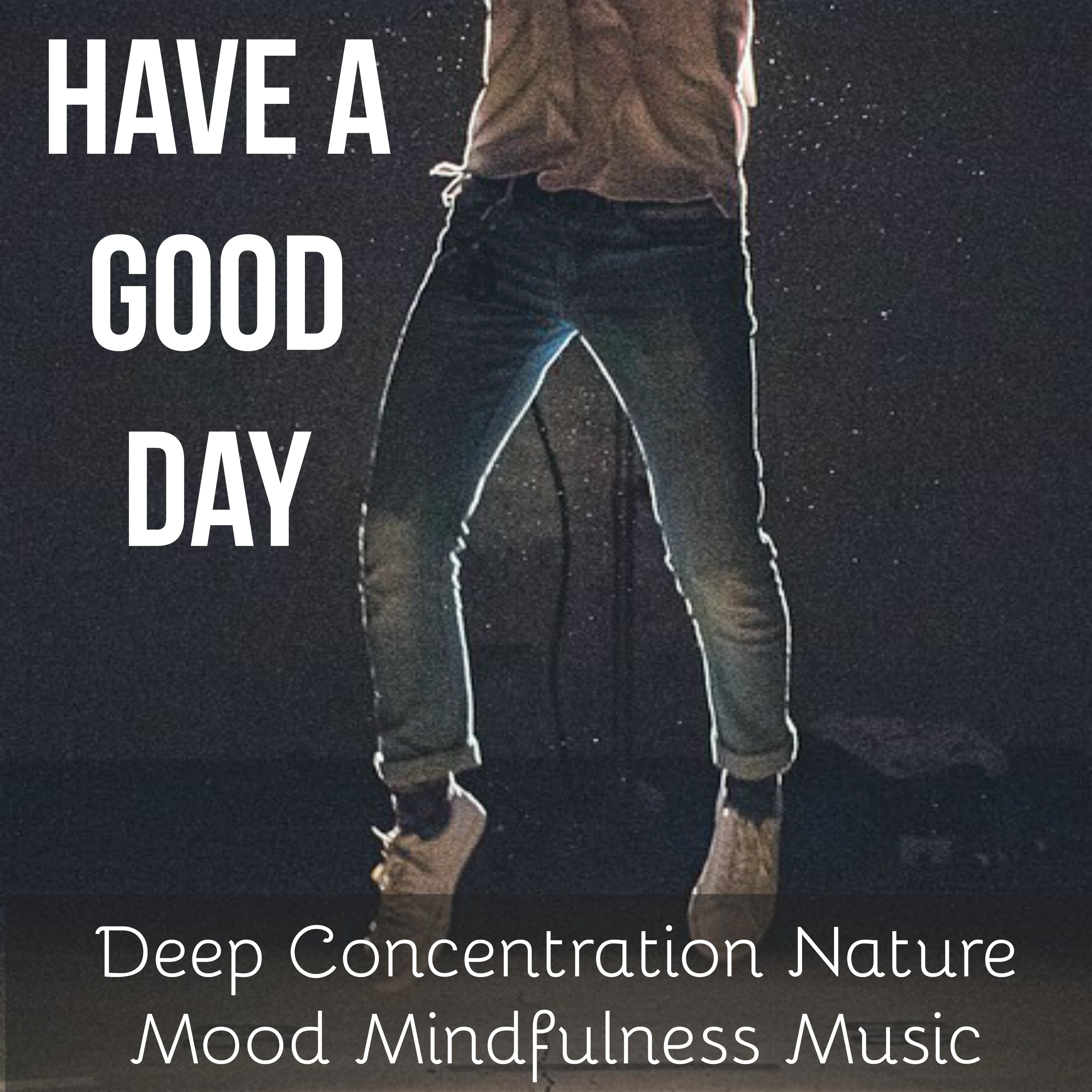 Have A Good Day - Deep Concentration Nature Mood Mindfulness Music for Emotion Recognition Biofeedback Training Problem Solving with Instrumental New Age Relaxing Sounds