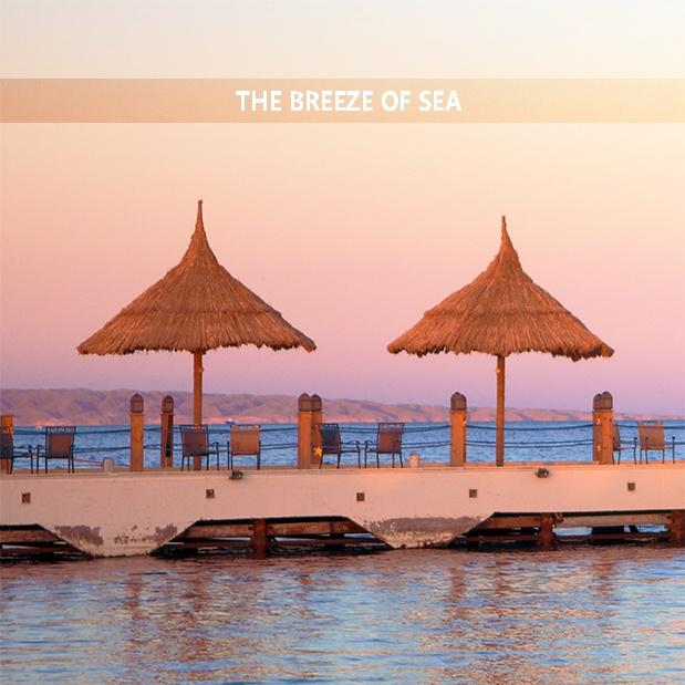 The Breeze Of Sea
