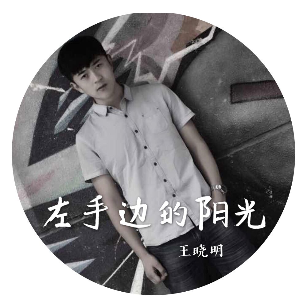 zuo shou bian de yang guang