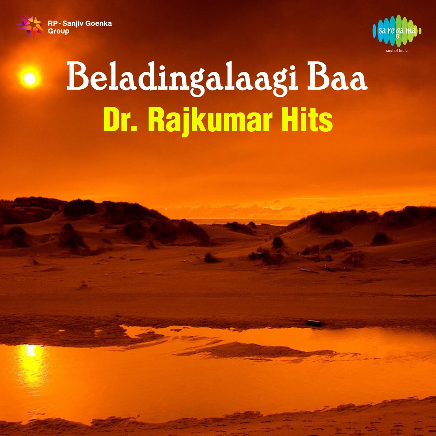 Naaniruvudu Nimagaagi - Instrumental