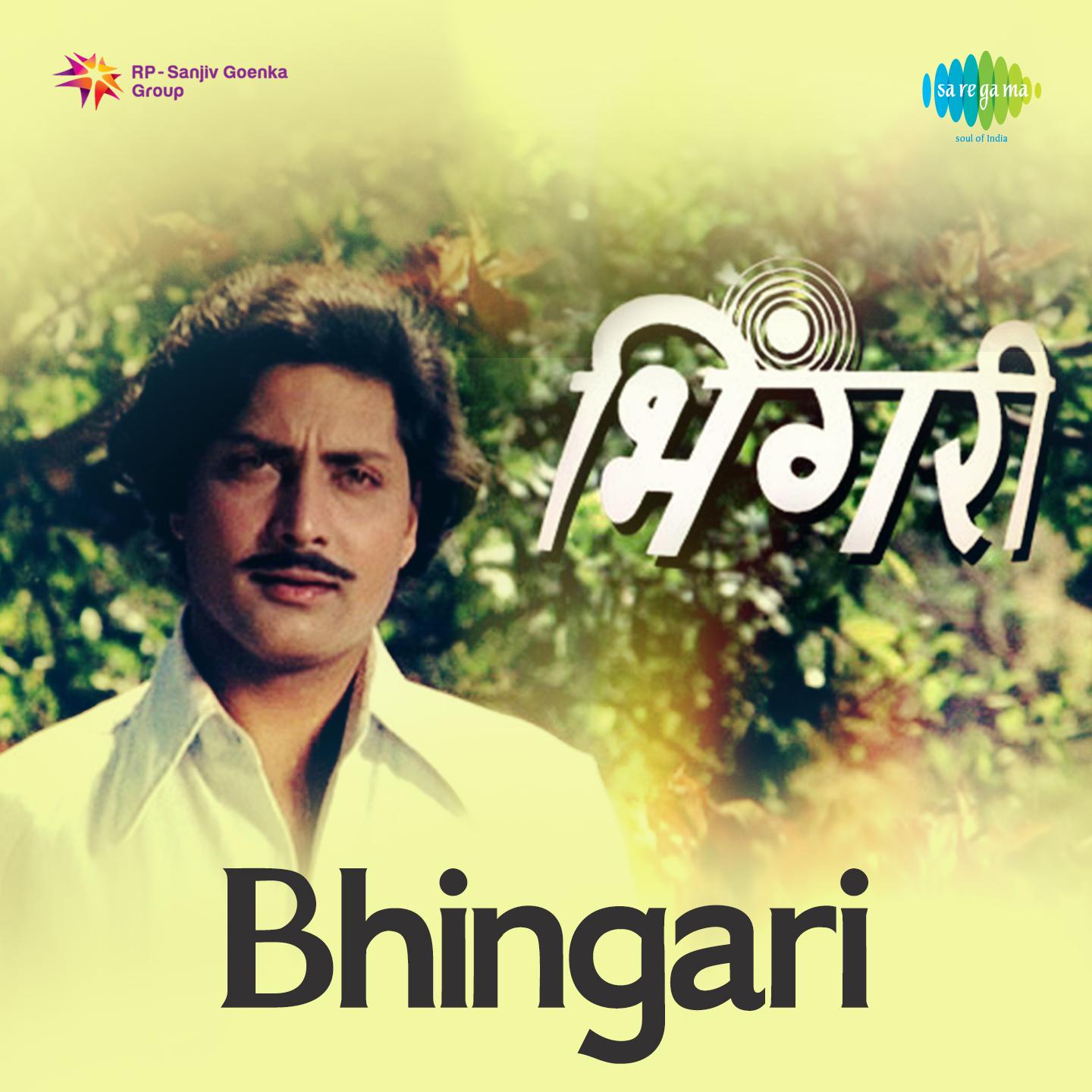 Bhingri Ga Bhingari