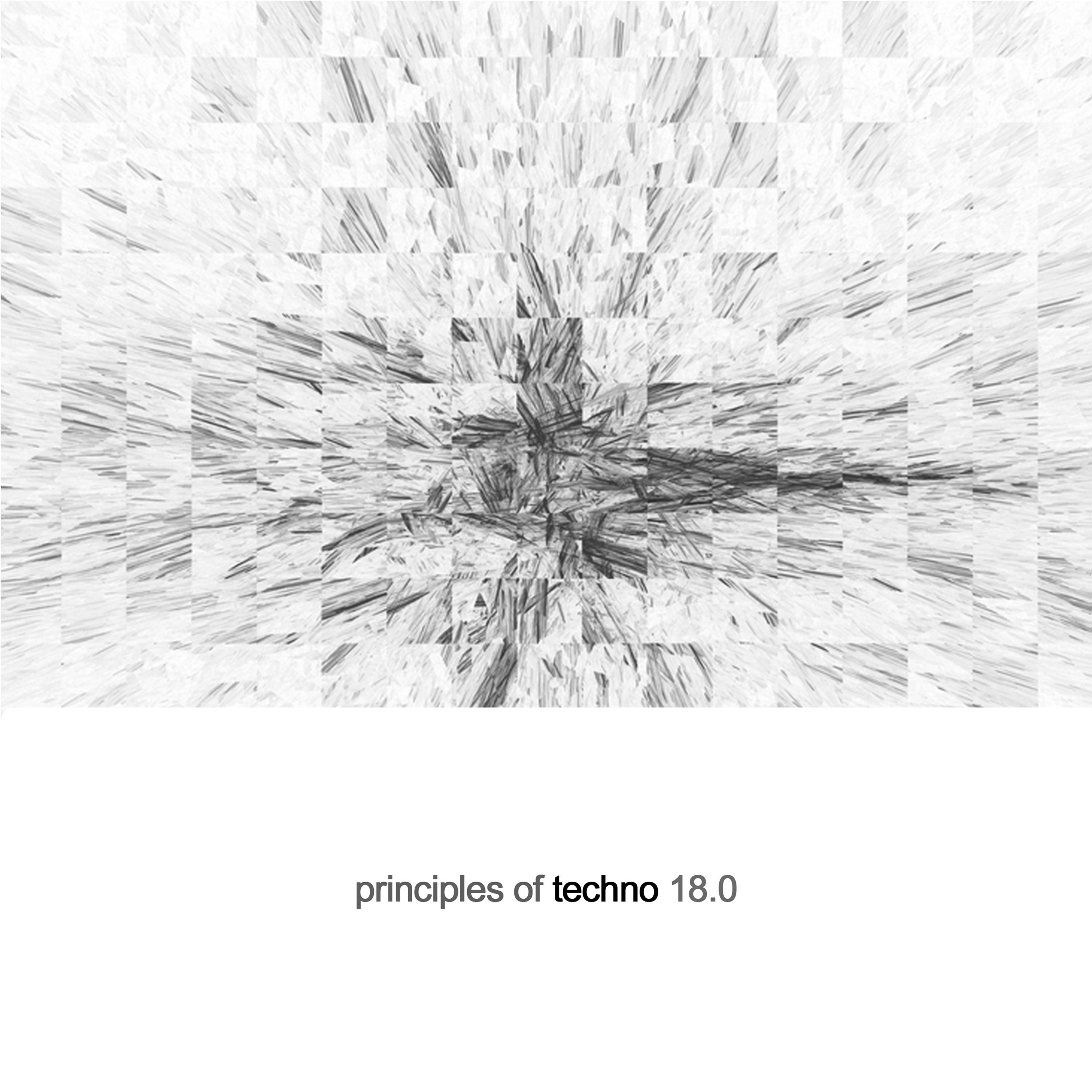 Principles of Techno, Vol. 18