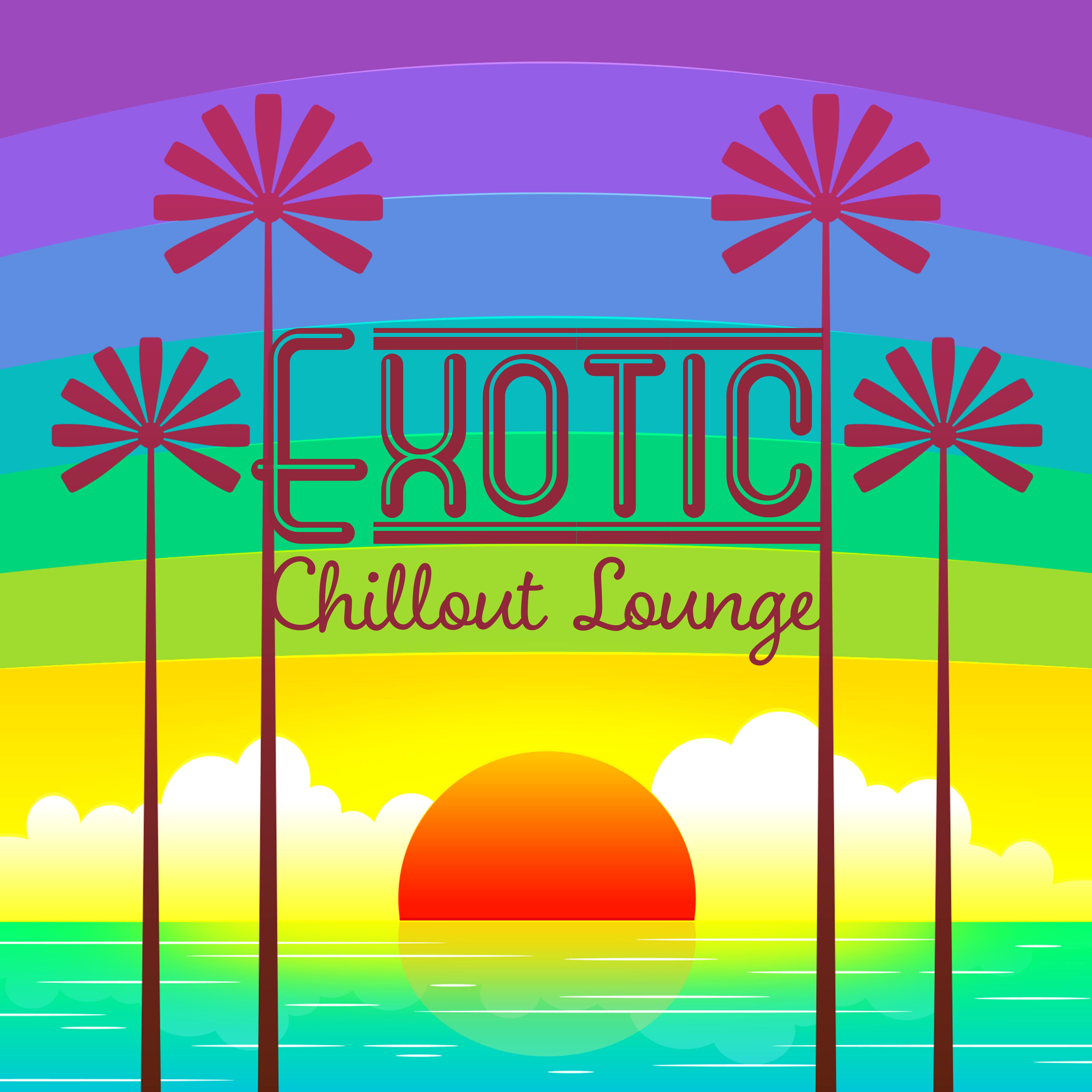 Exotic Chillout Lounge  Tropical Chilout, Summer Breeze, Beach Music, Ibiza