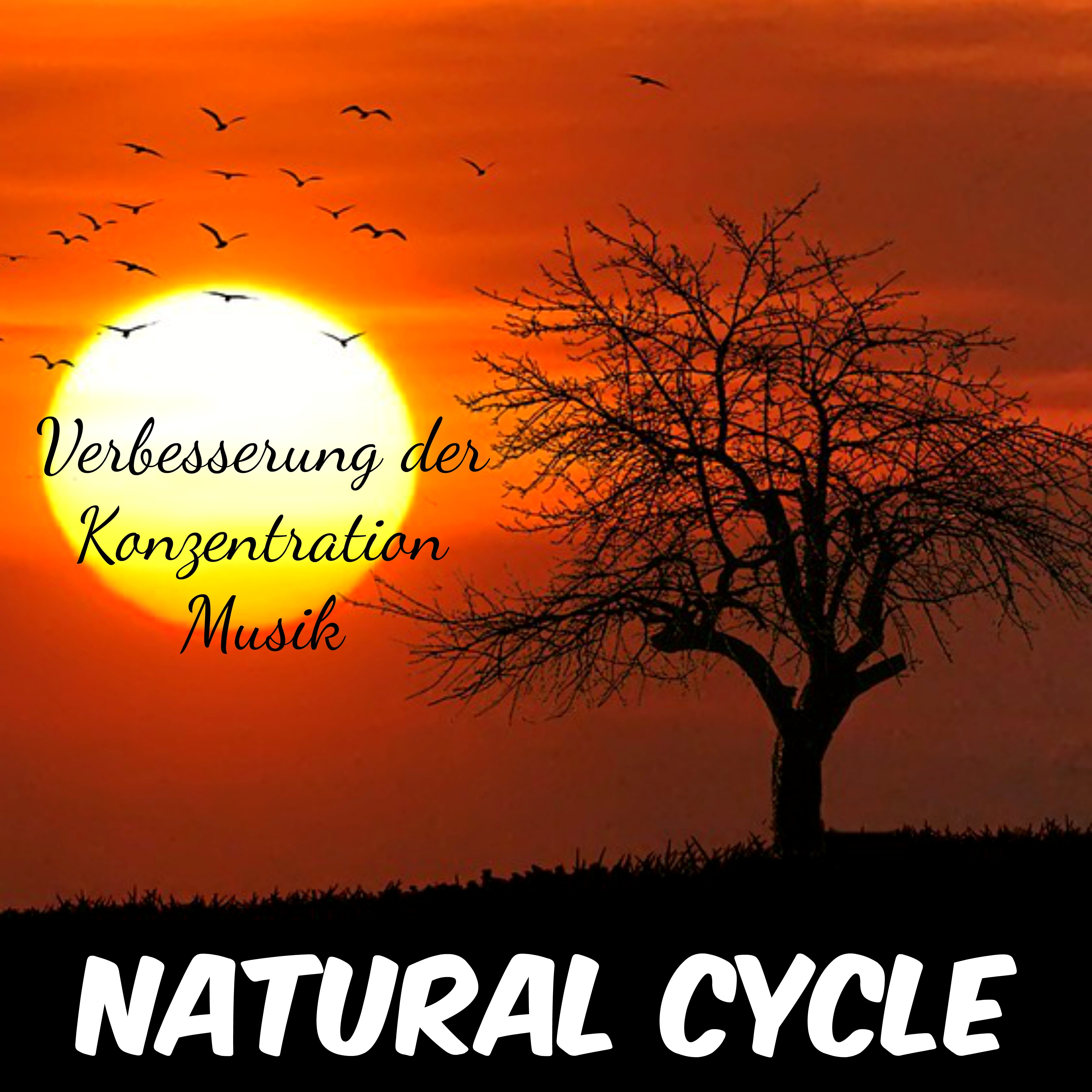 Natural Cycle  Verbesserung der Konzentration Hypnose Ausbildung Geistige Fitness Muzik mit Nature New Age Instrumental Ger usche