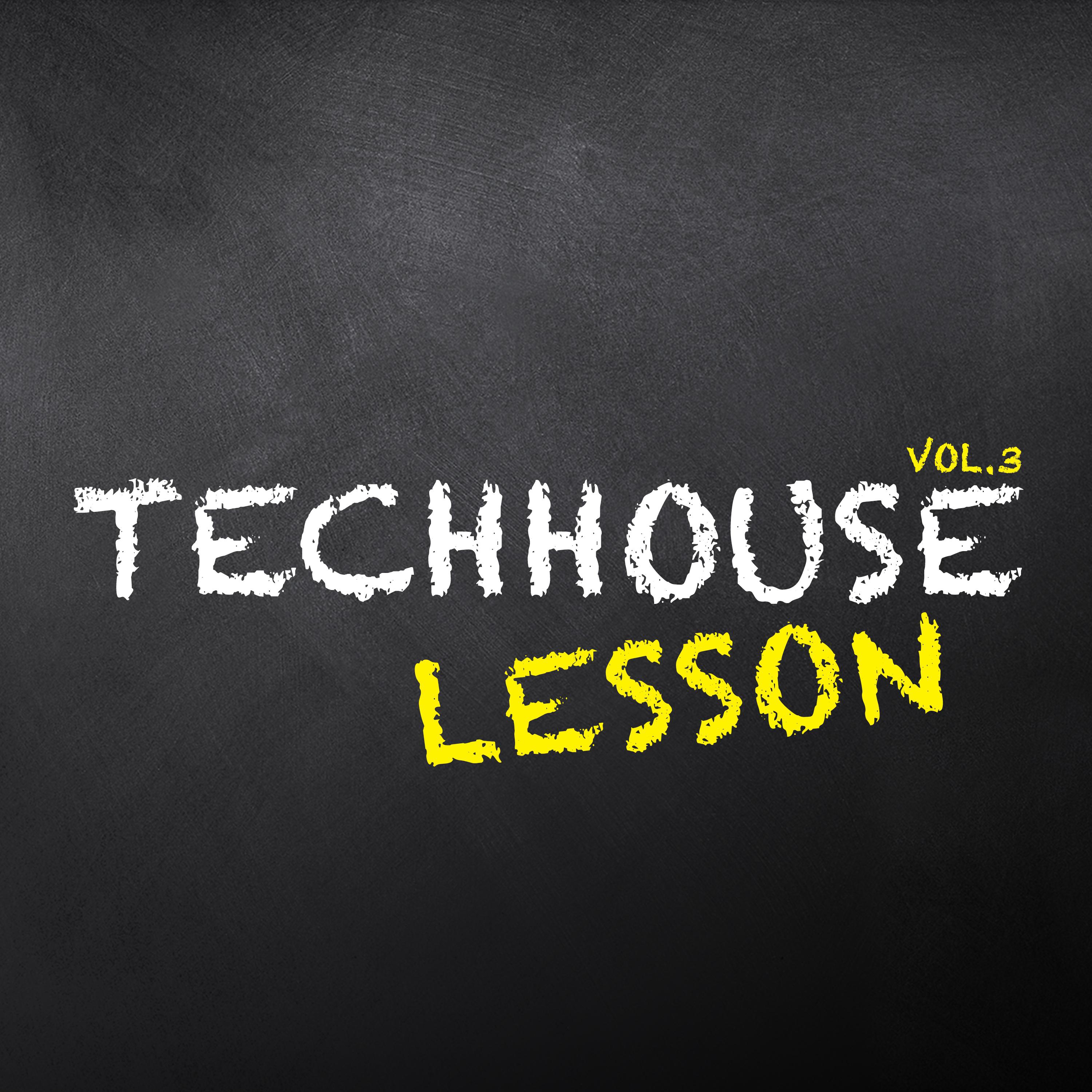Techhouse Lesson, Vol. 3