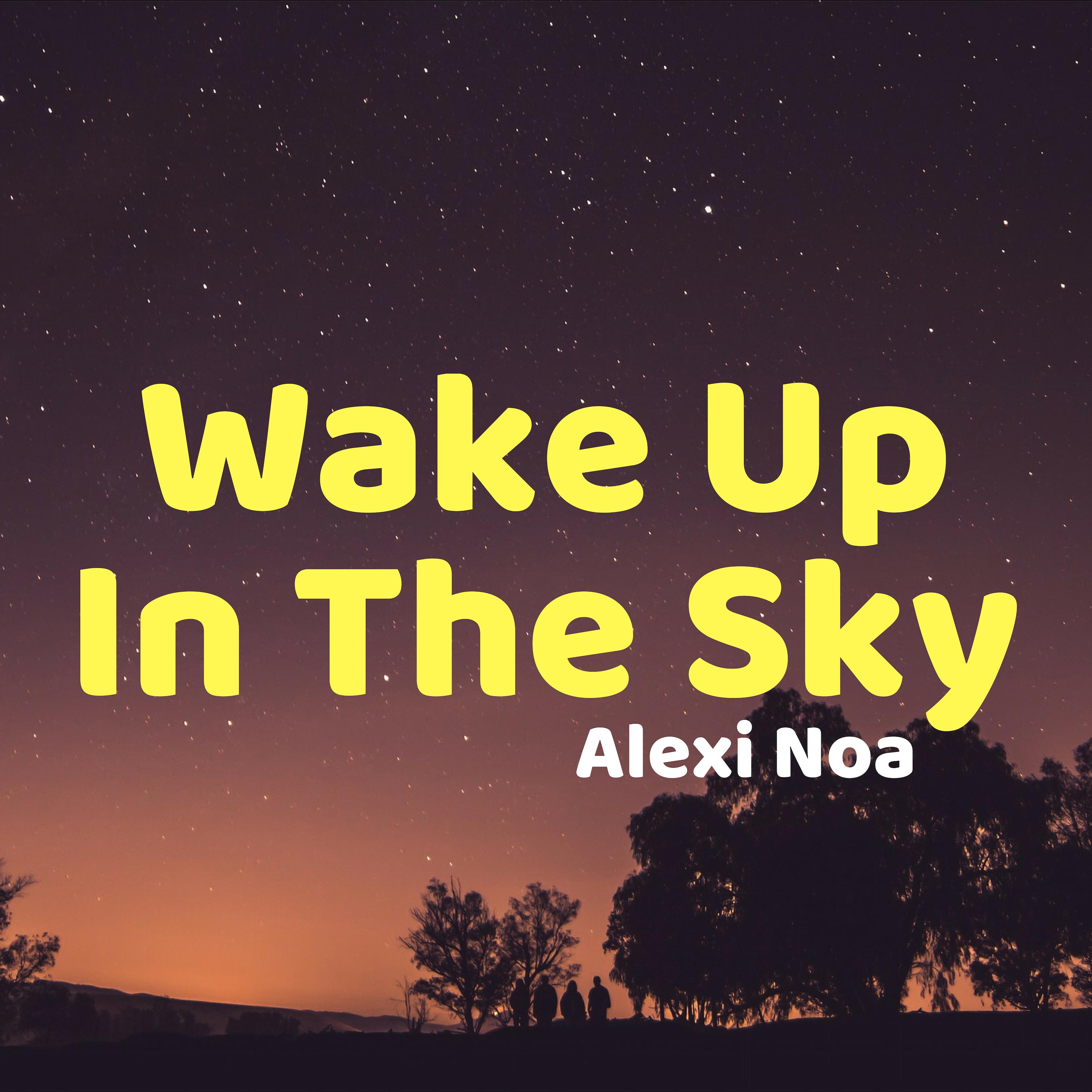 Wake up in the Sky