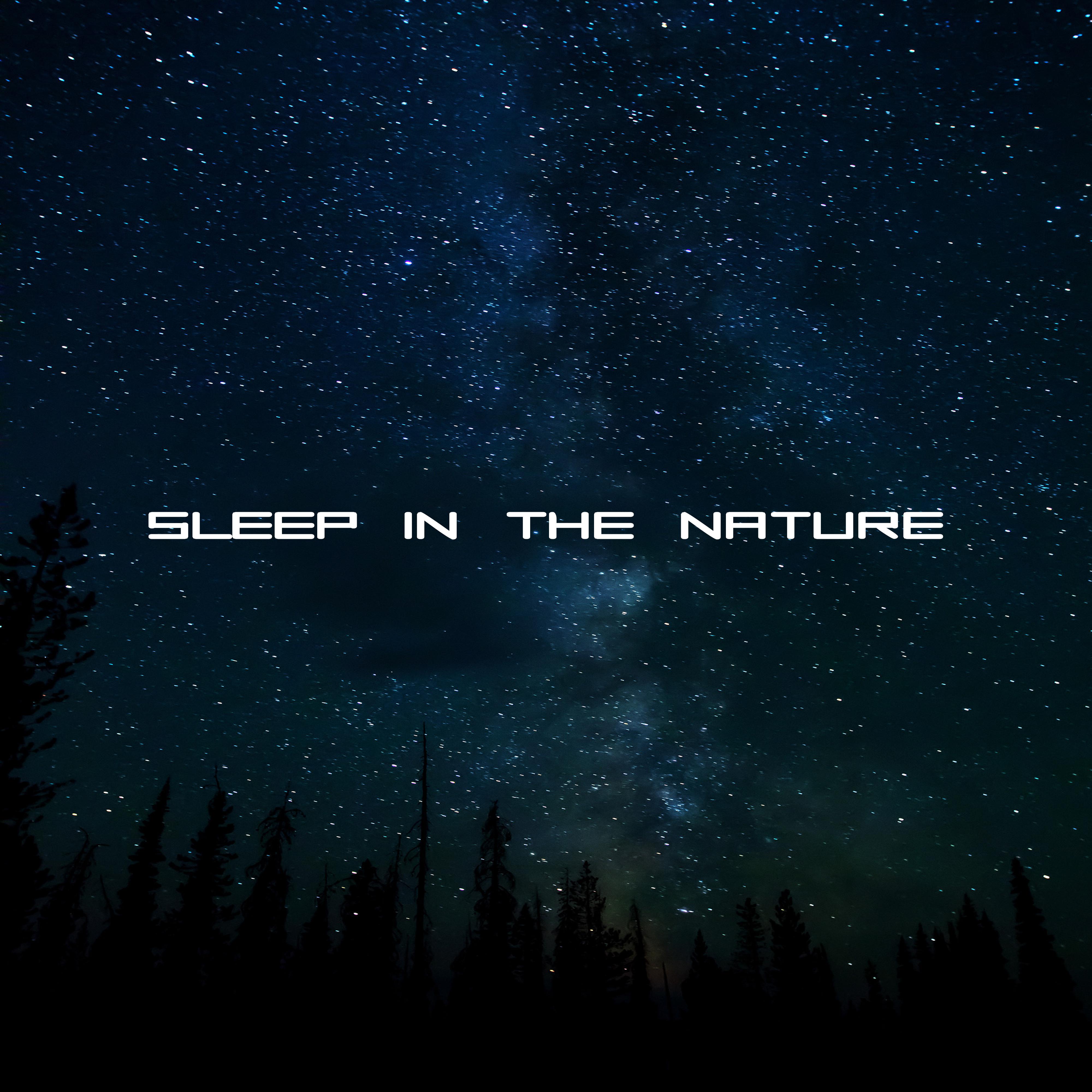 Sleep in the Nature  Relaxing Music, Full of Calmness, Nature Sounds, Music for Sleep, Deep Sleep, Lullabies