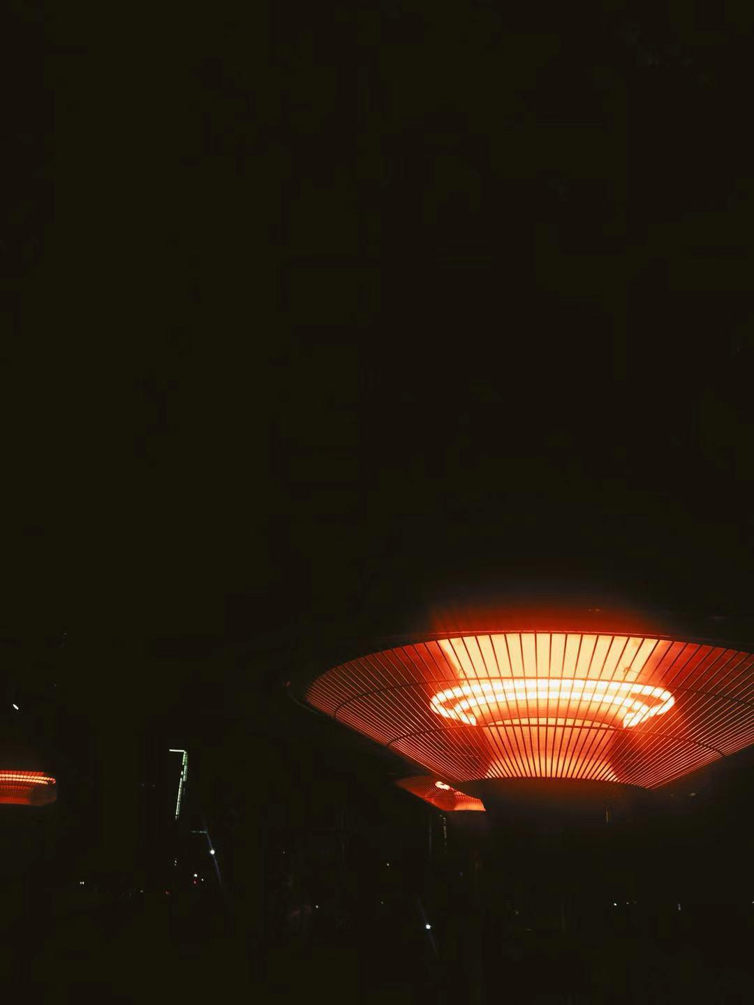 sa er ci bao de shu zhi