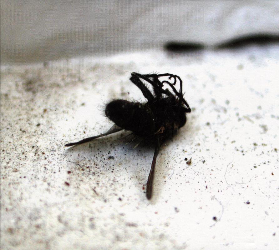 Leave Land For Water