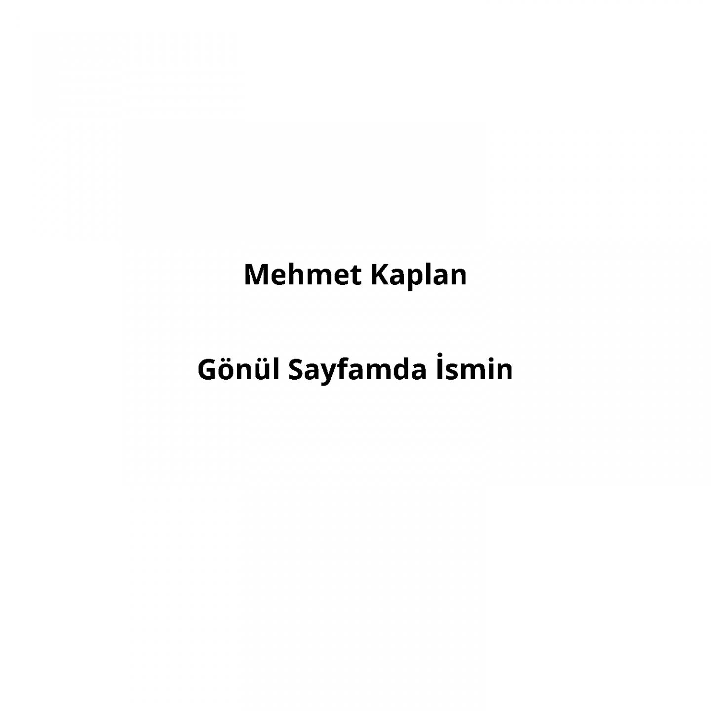 G nü l Sayfamda smin