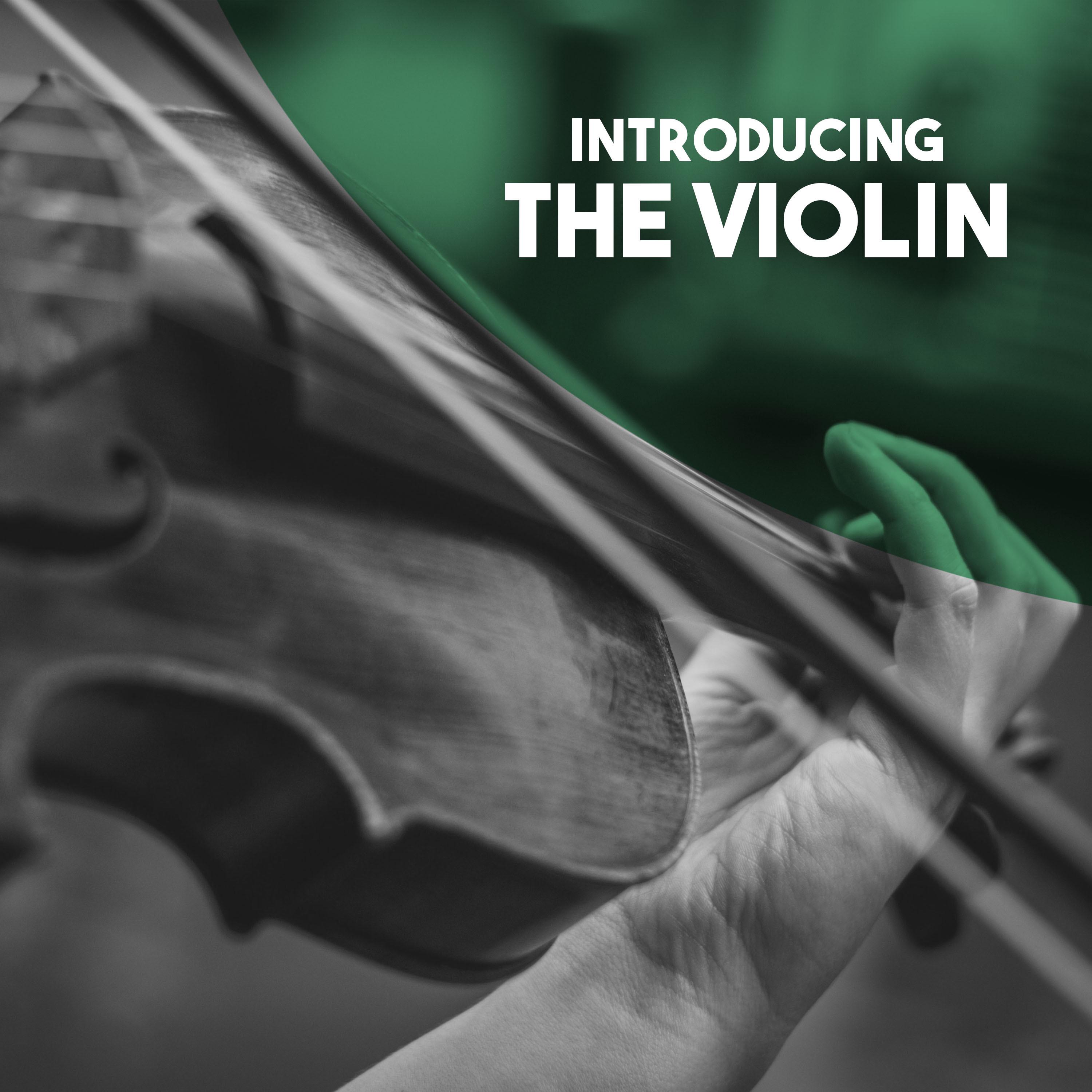 Introducing: The Violin