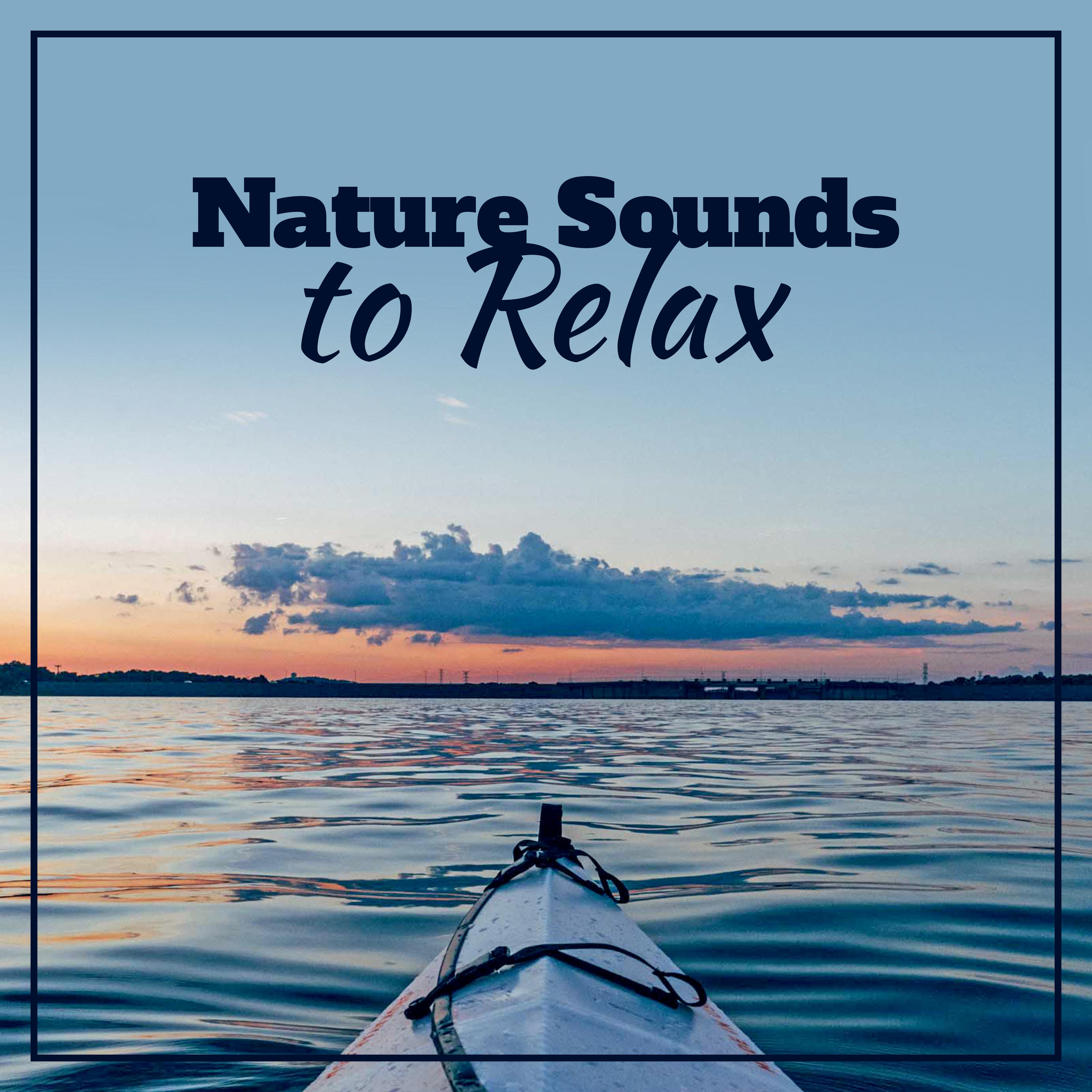 Nature Sounds to Relax  Healing Nature Sounds, Relaxing Therapy, Calm Down  Relax, Stress Free