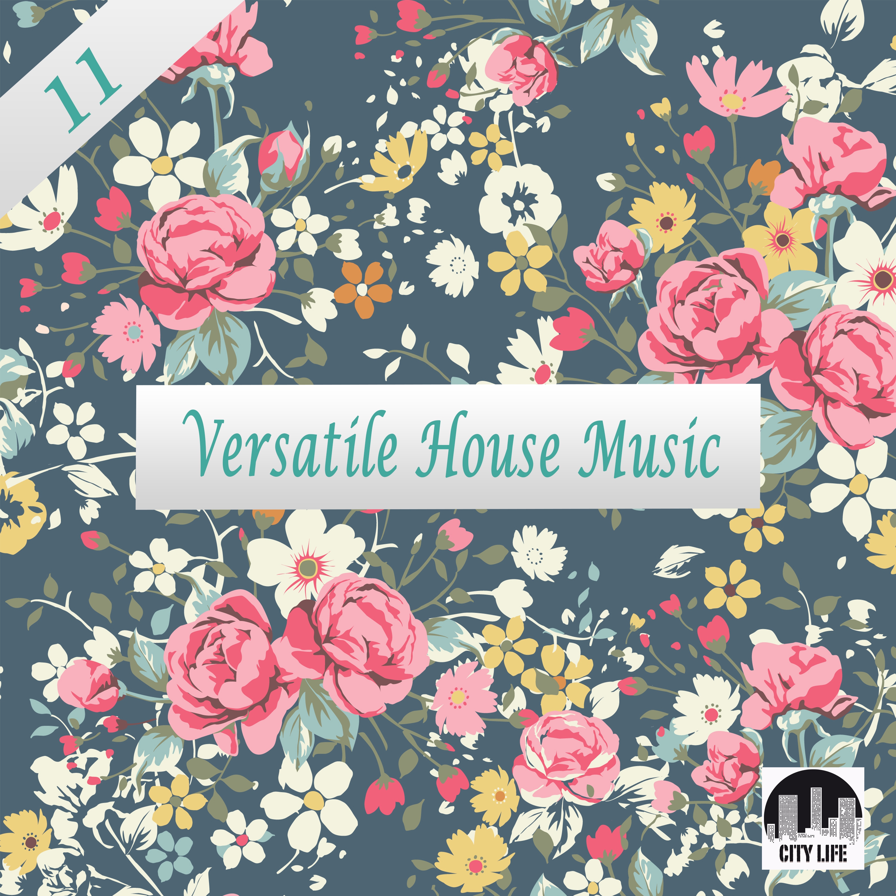 Versatile House Music, Vol. 11
