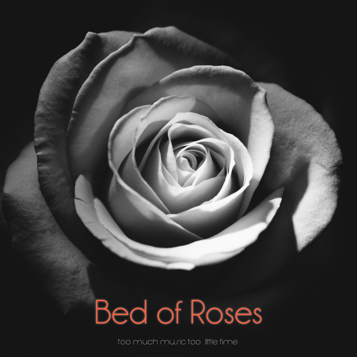 Best of Roses (So Much Music Too Little Time)