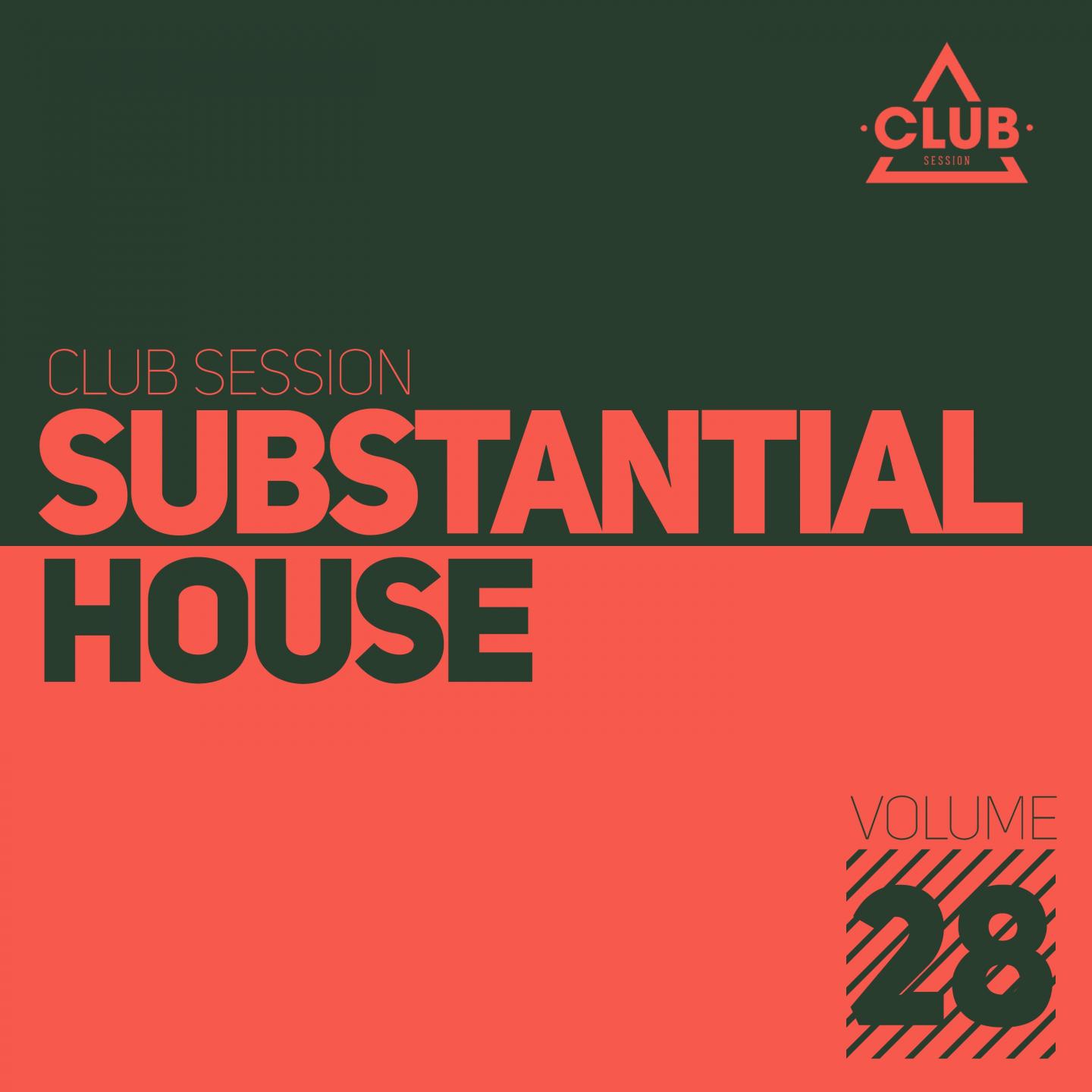 Substantial House, Vol. 28