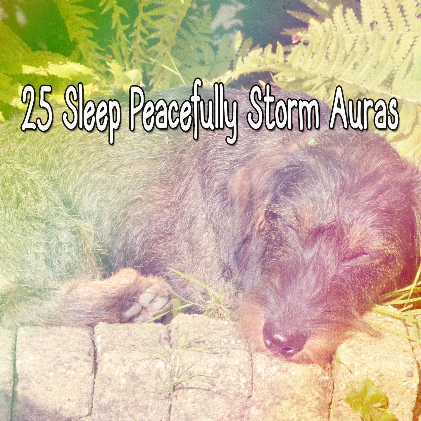 25 Sleep Peacefully Storm Auras