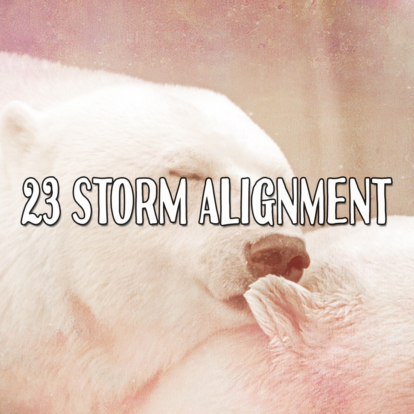 23 Storm Alignment
