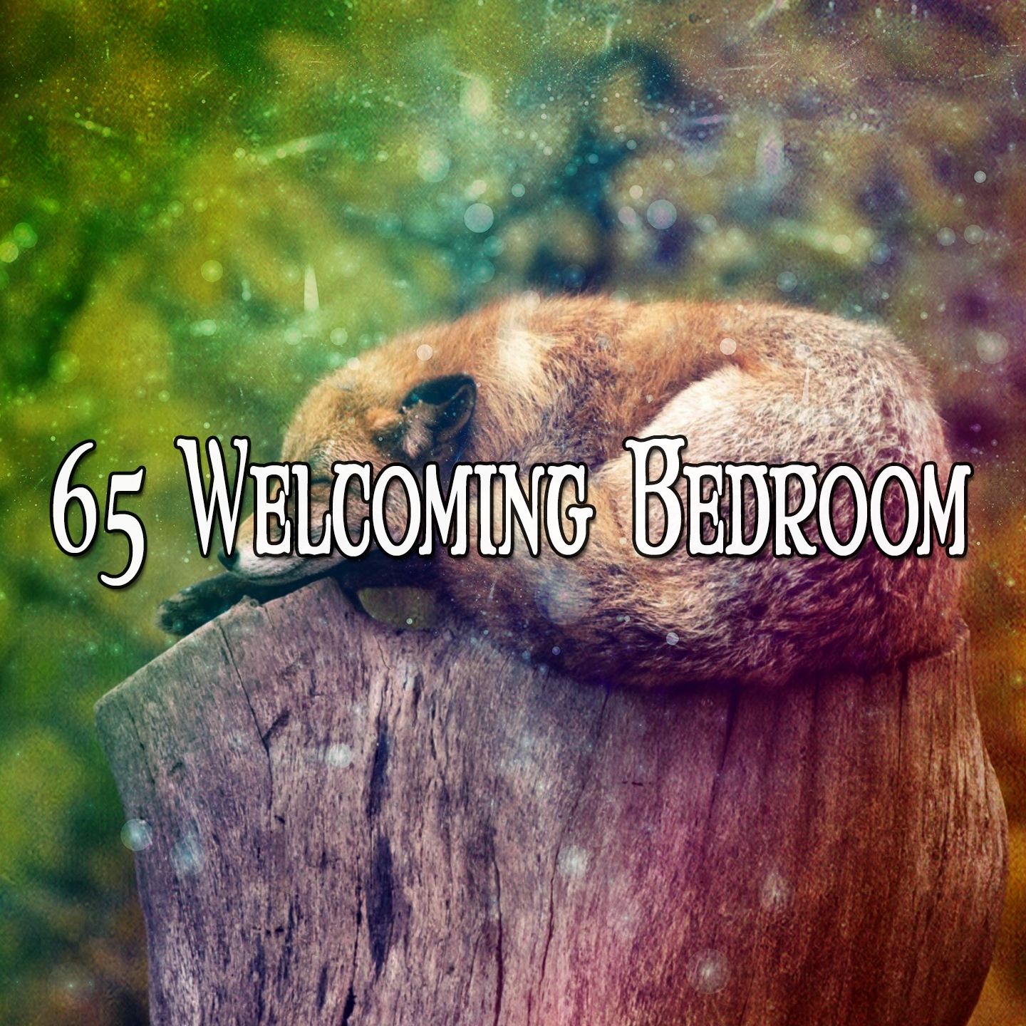 65 Welcoming Bedroom