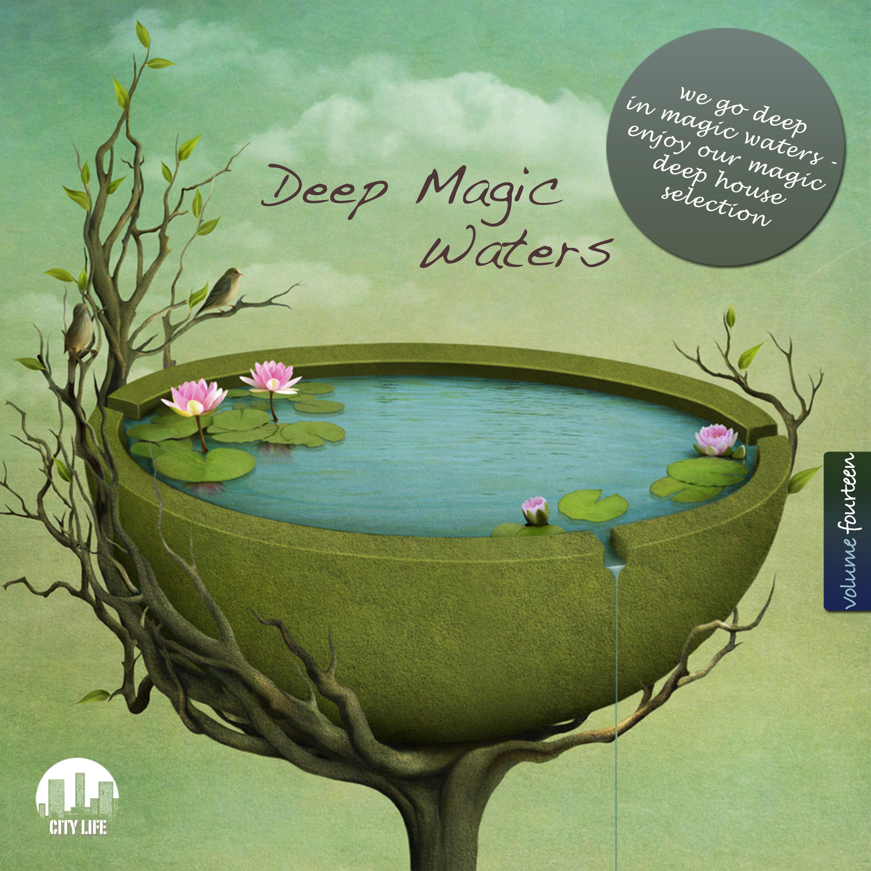 Deep Magic Waters, Vol. 14