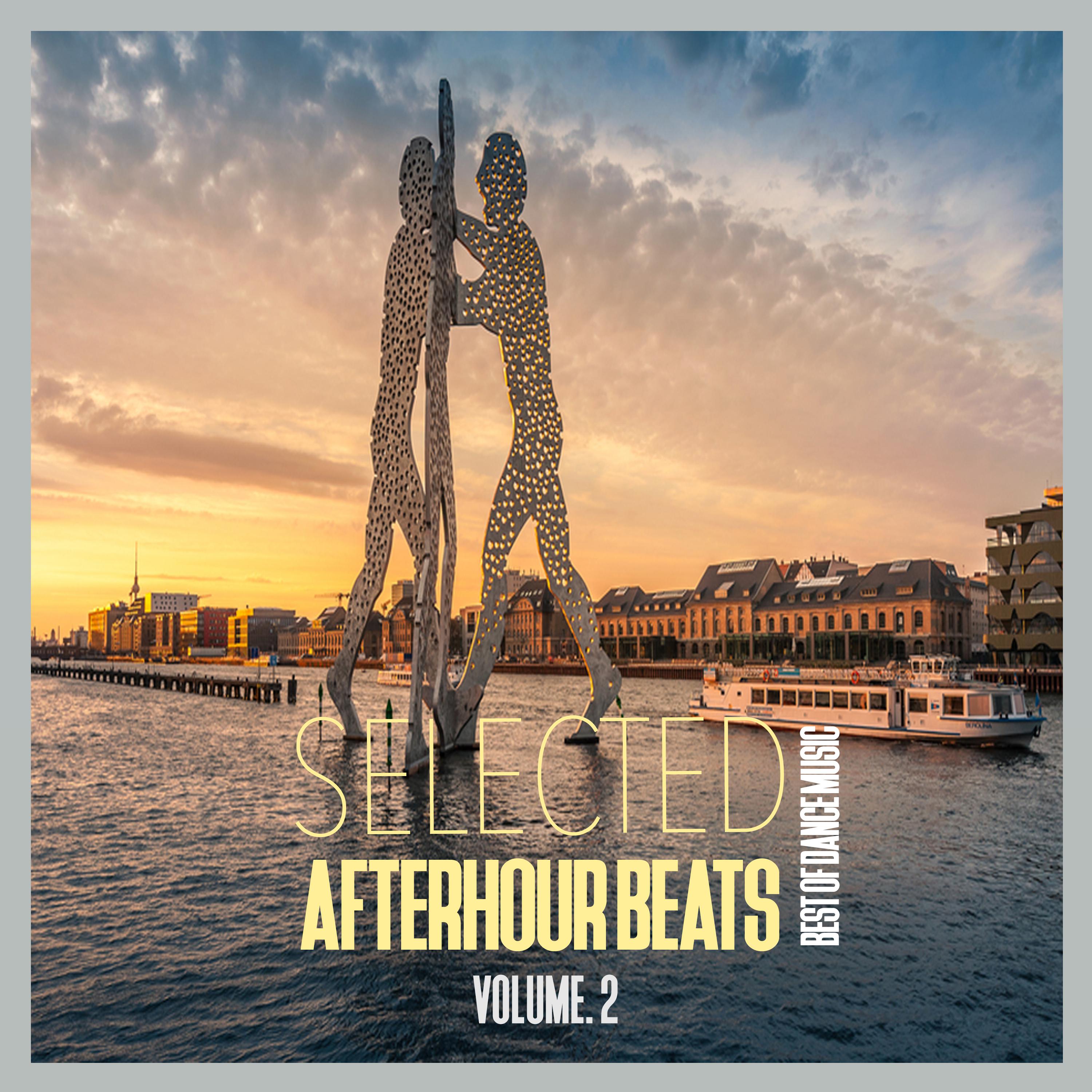 Selected Afterhour Beats, Vol. 2 - Best of Dance Music