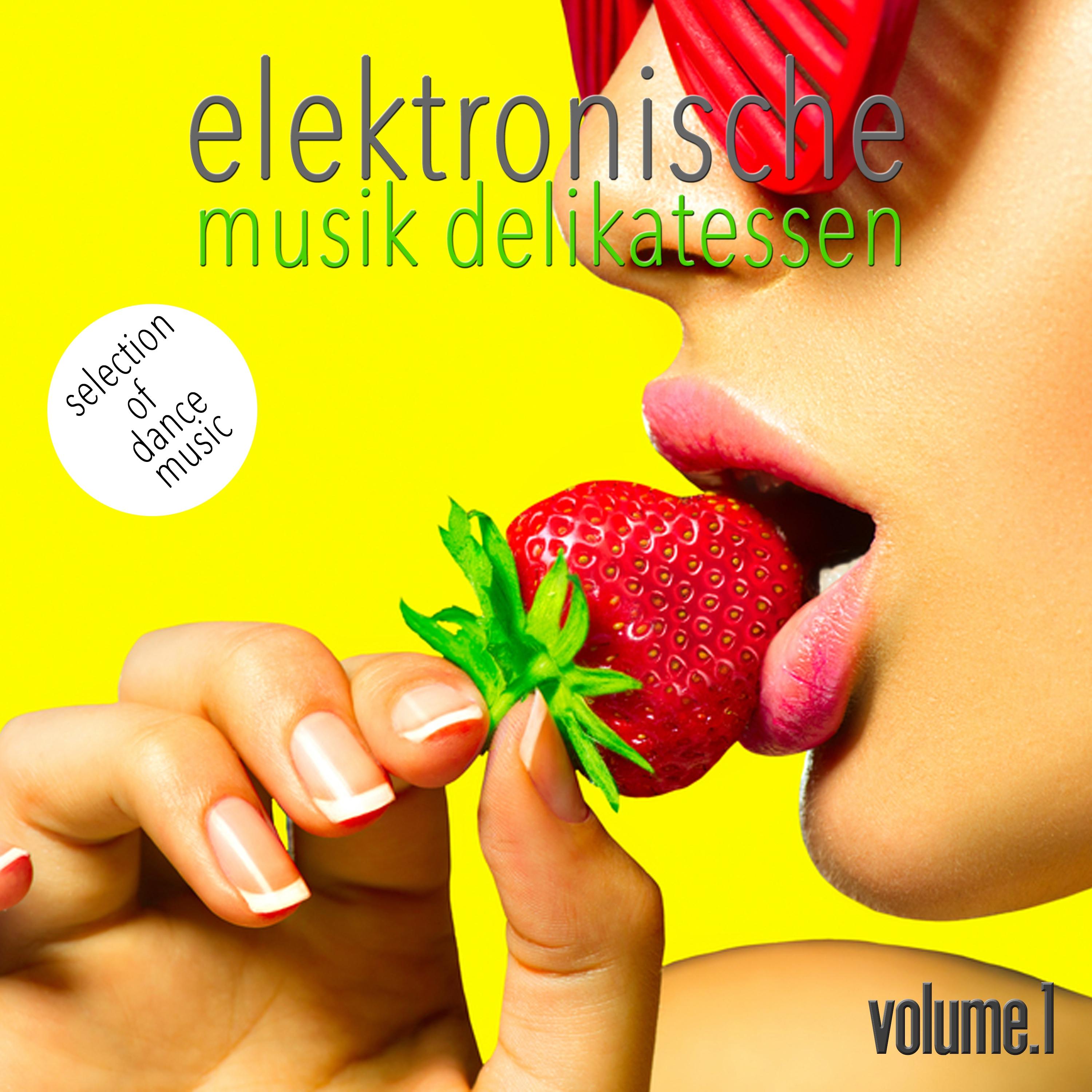 Elektronische Musik Delikatessen, Vol. 1 - Selection of Dance Music