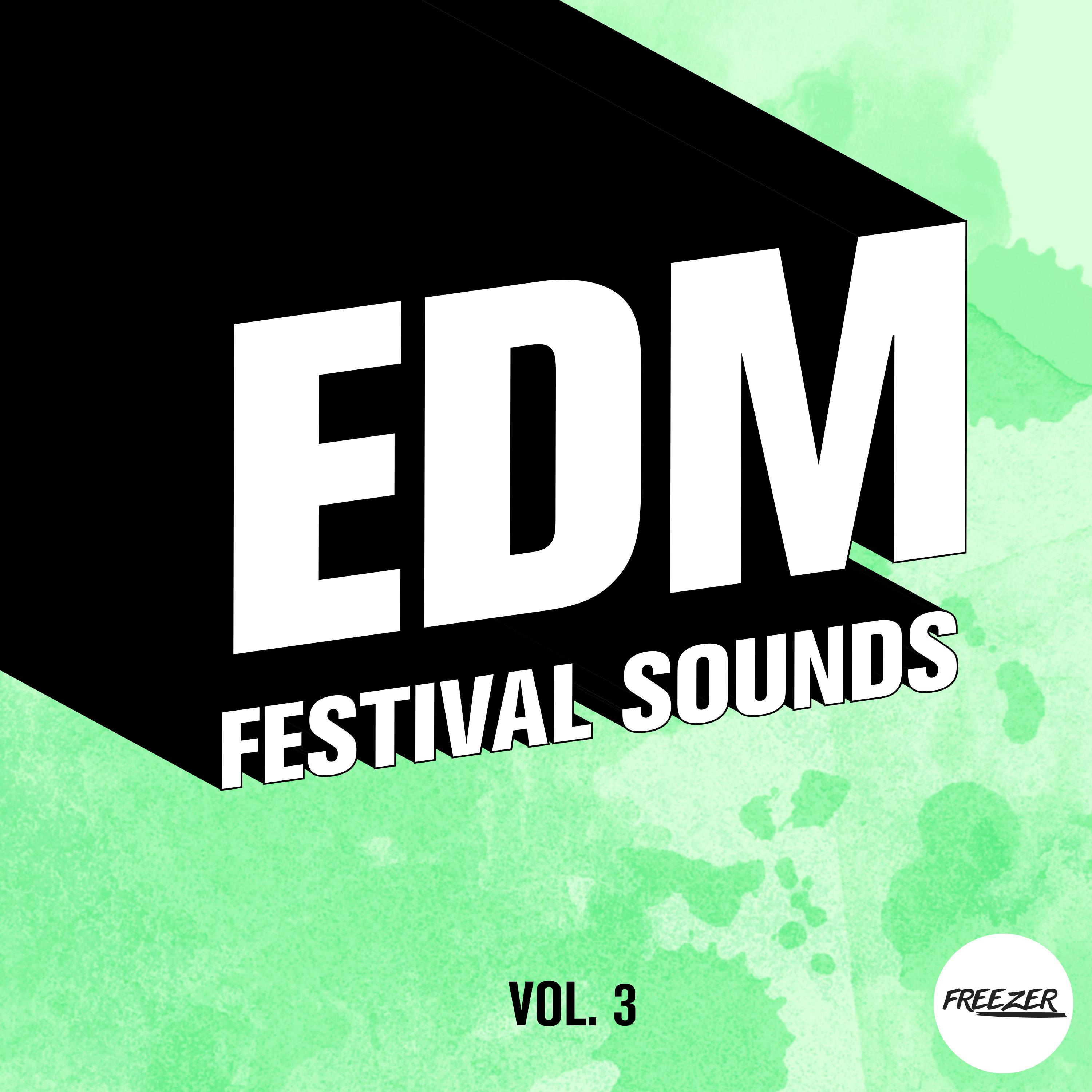 EDM Festival Sounds, Vol. 3