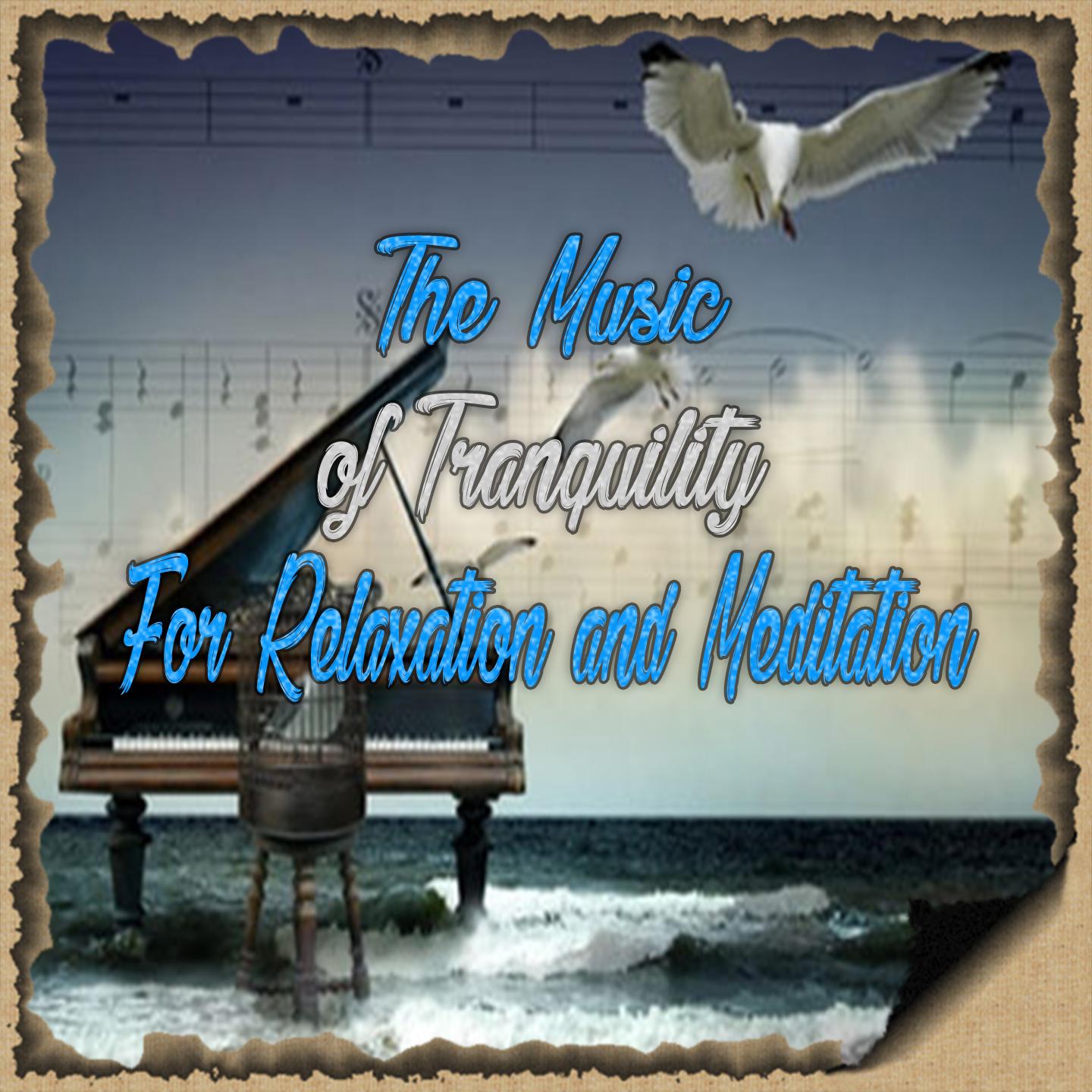 Clair De Lune / Liebestraum / Scheherezade / Moonlight Sonata / Fur Elise / Blue Danube Waltz / Song of India / Scene from Swan Lake / Musetta's Waltz
