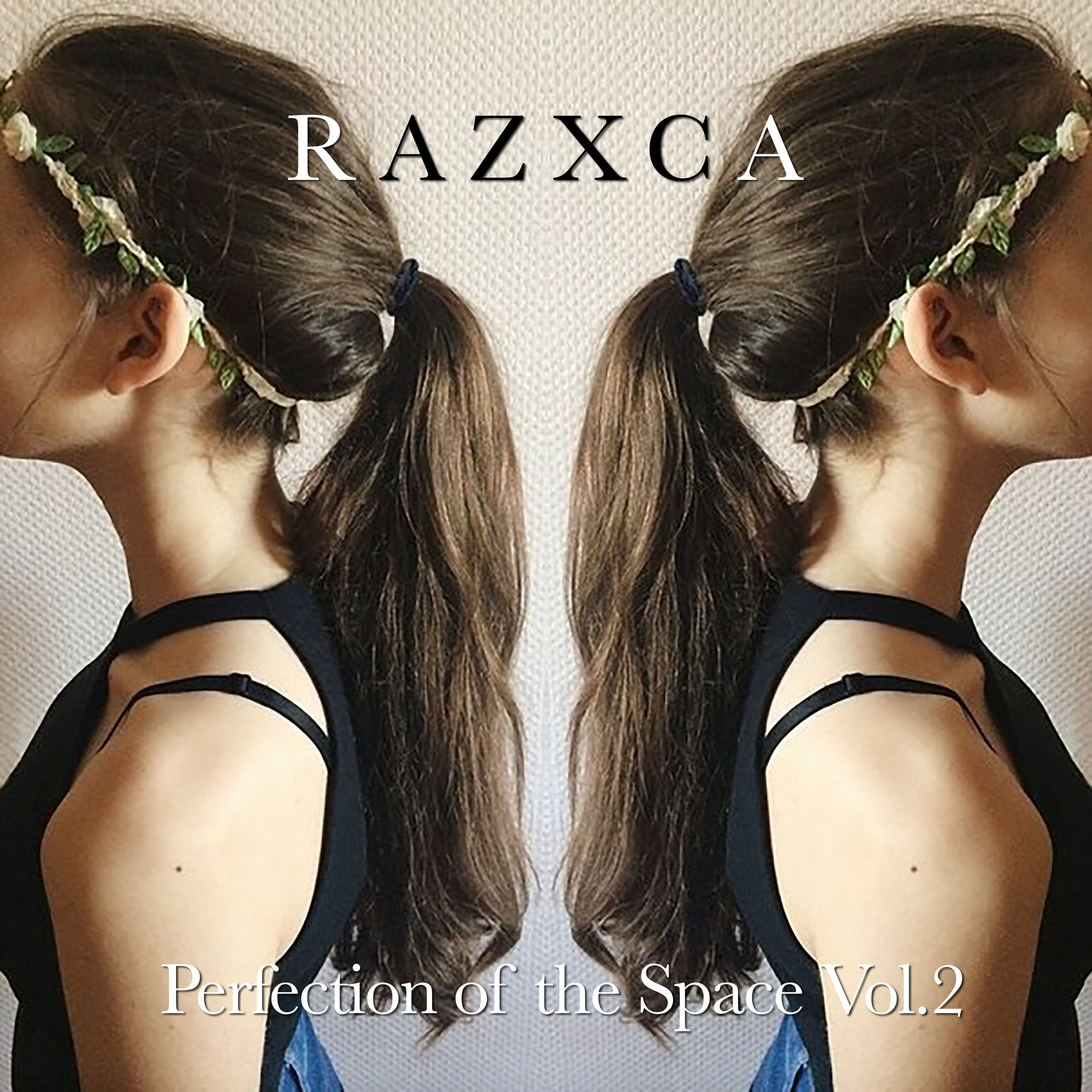 Perfection of the Space, Vol. 2