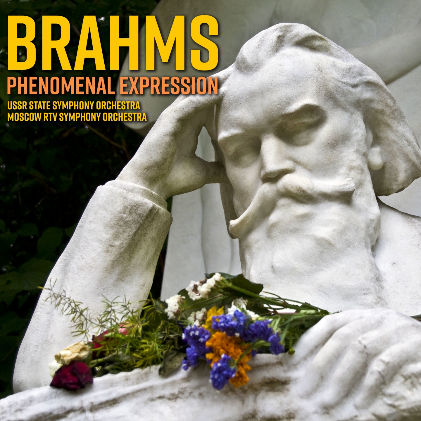 Brahms: Phenomenal expression
