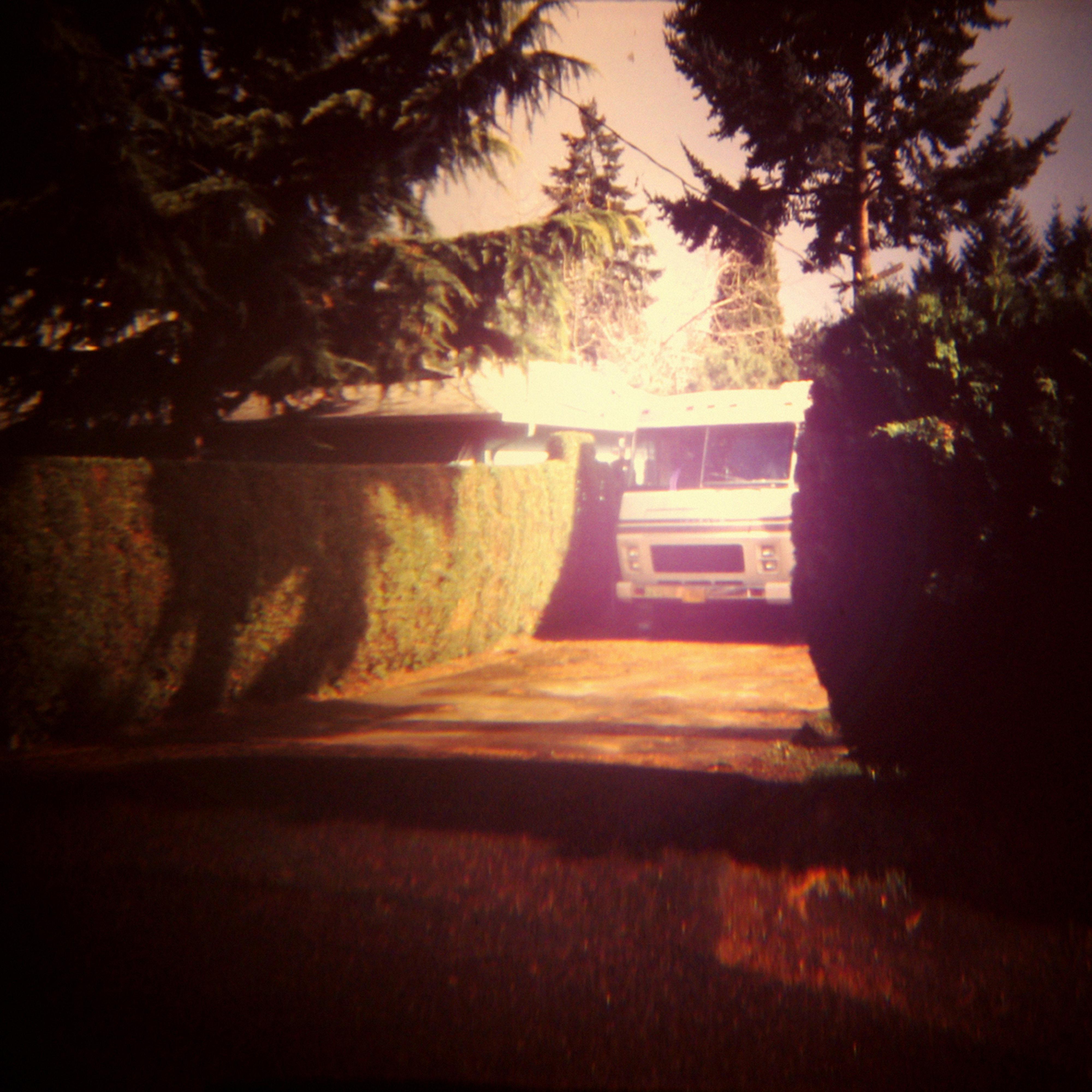 Summer Sounds Asleep