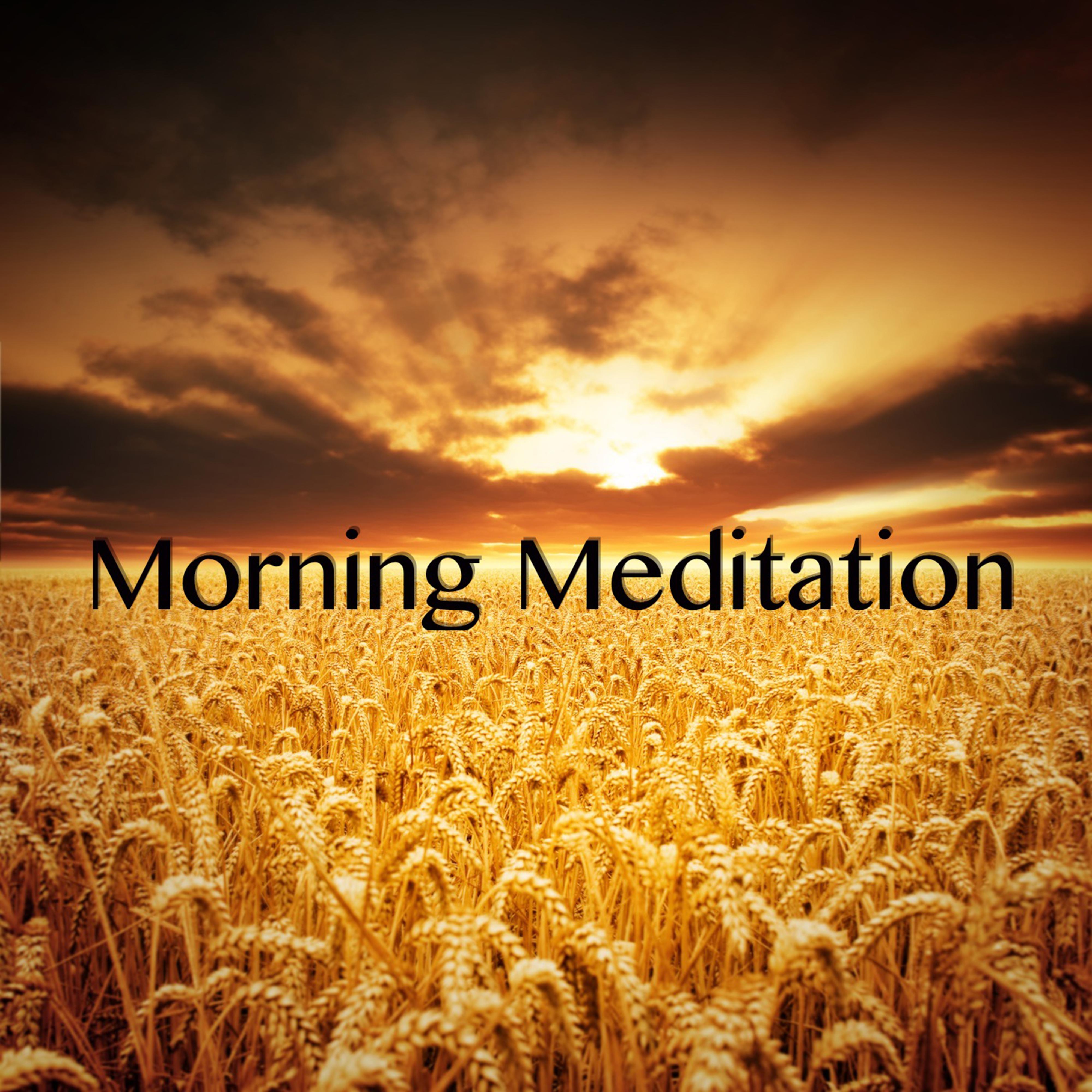 Morning Meditation - Meditations and Stress Relaxation Music, Soothing Relaxing Sounds for Anxiety, Depression and Negative Thoughts