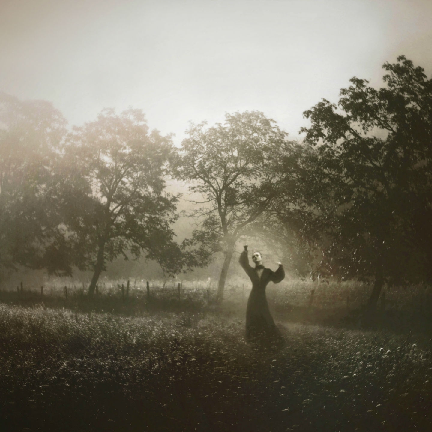 Le re citatif de l'e cuyer novice