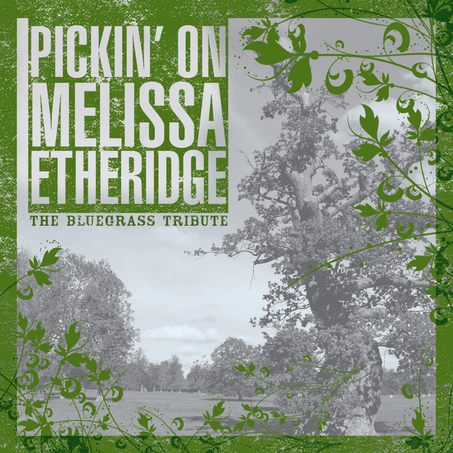Pickin On Melissa Etheridge Volume Two