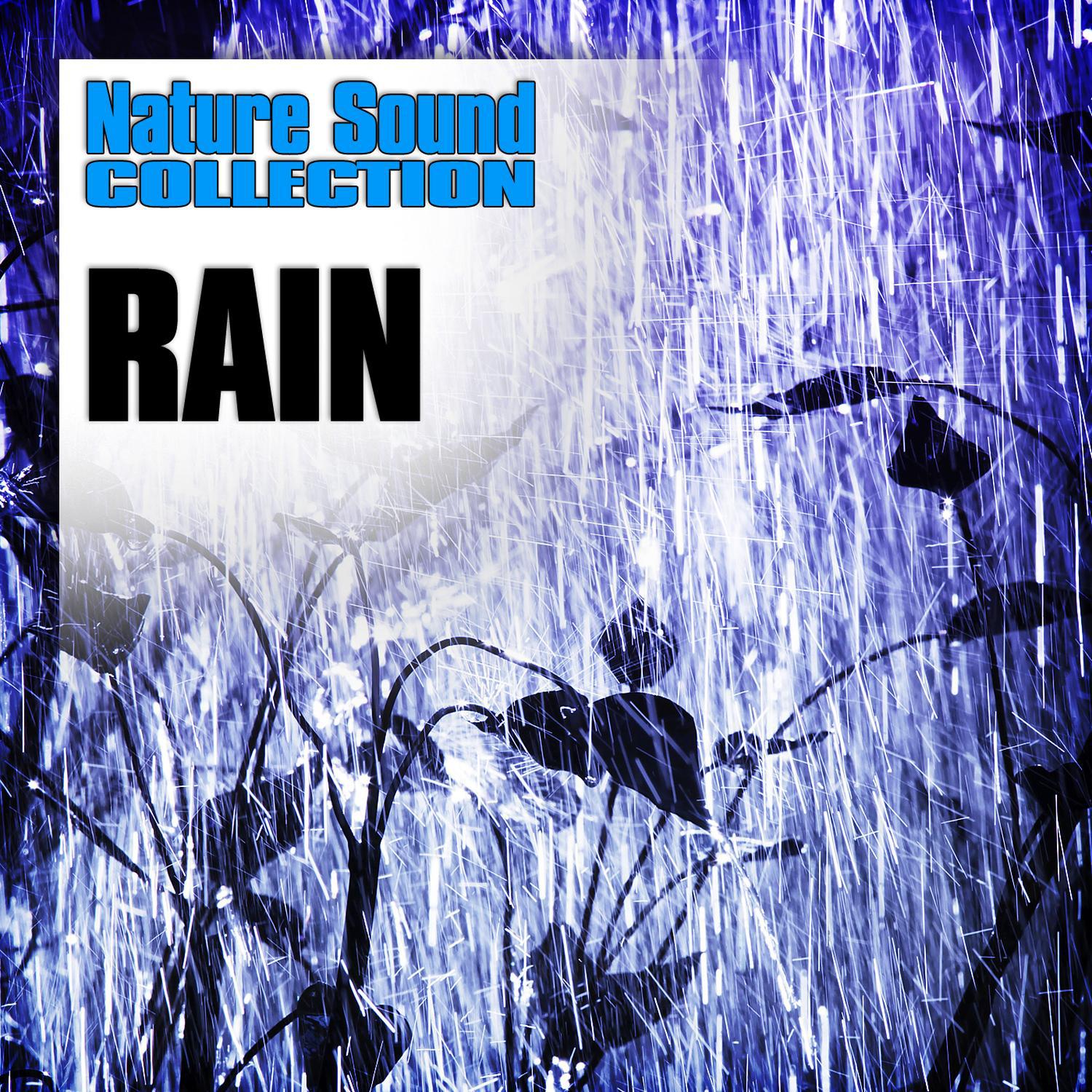 Rain (Nature Sounds)
