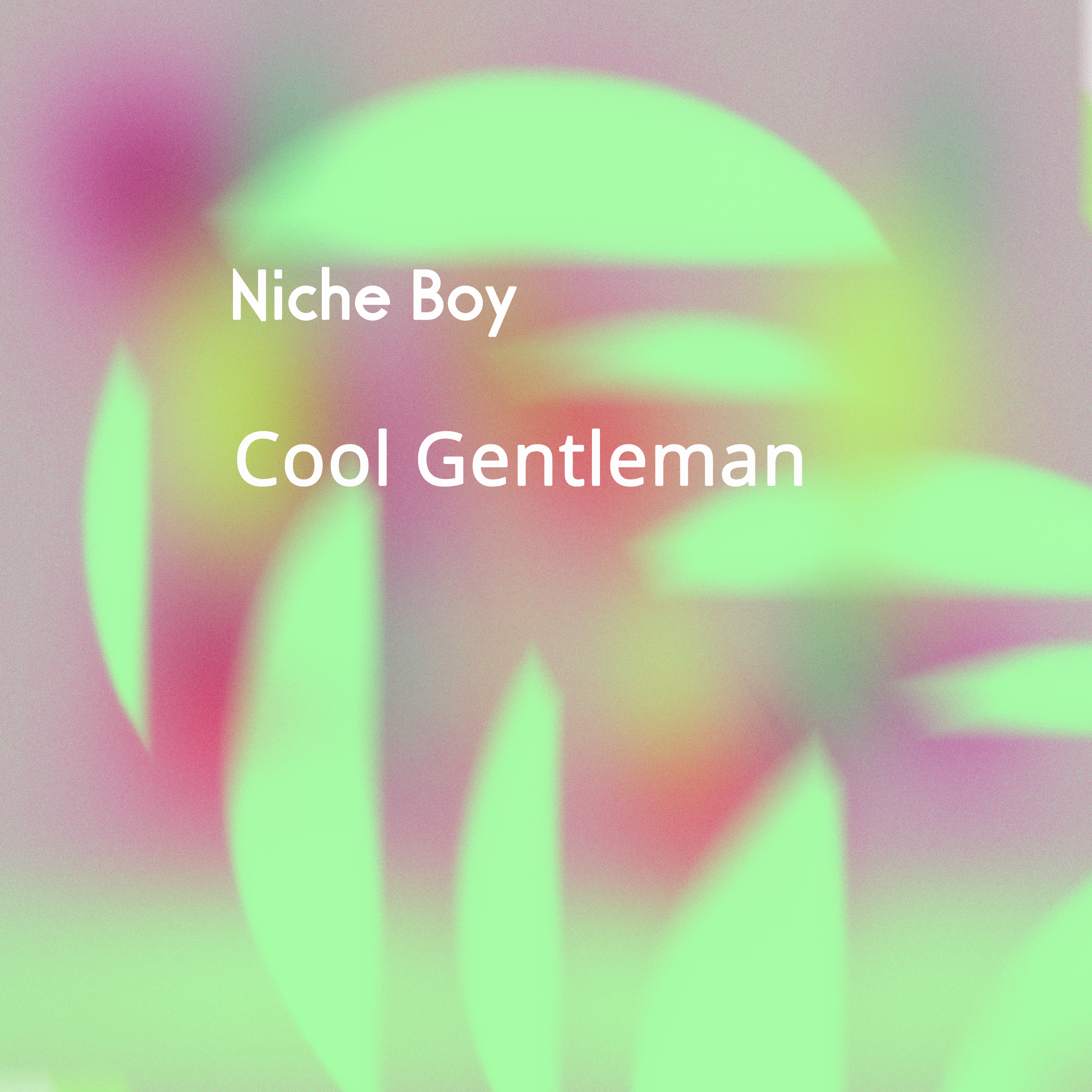 Niche Boy