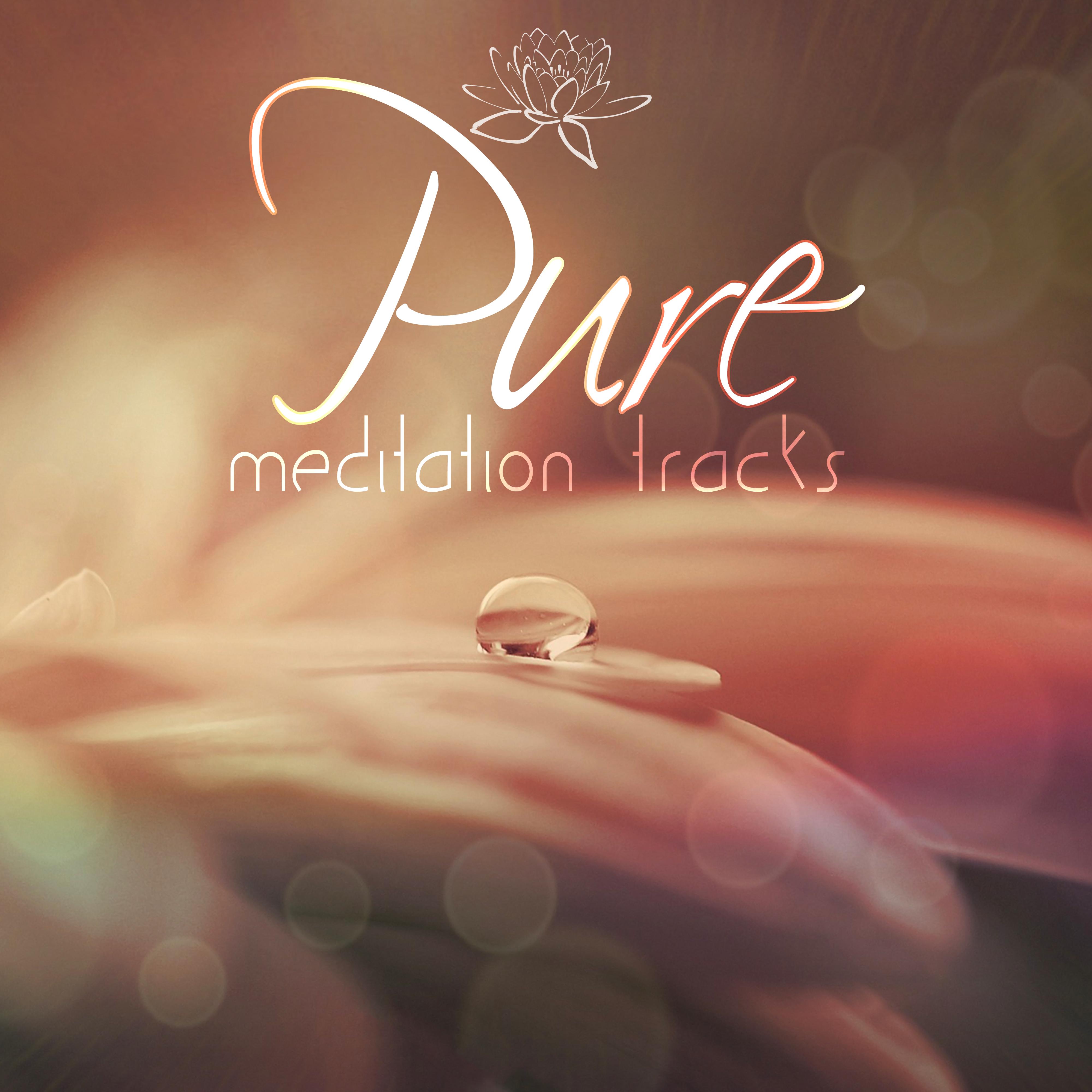 Pure Meditation Tracks  Yoga Relaxation, Deep Zen, Chakra Balancing, Inner Peace, Nature, Body and Mind, Zen Spa, Relaxation, Healing Waves