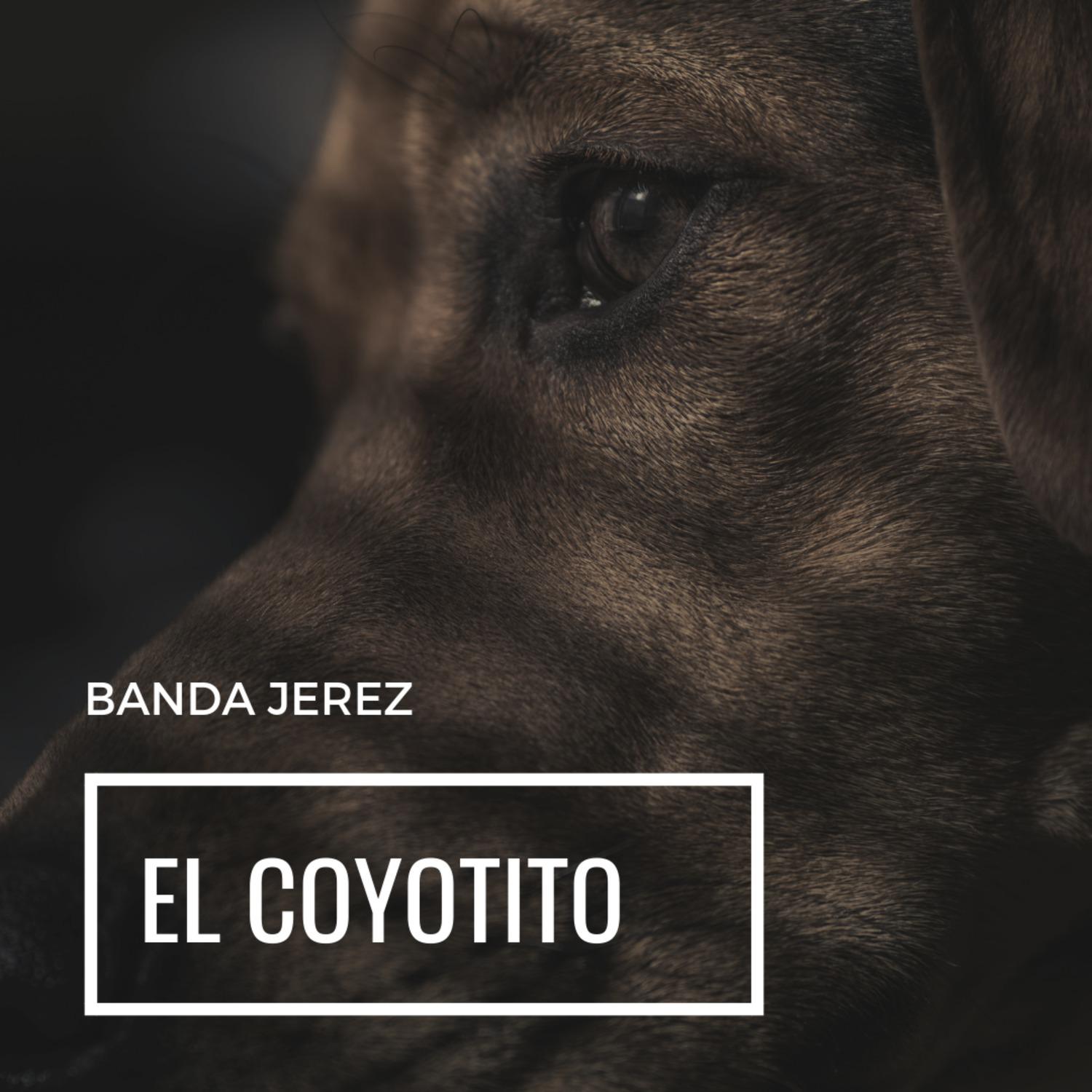 El Coyotito