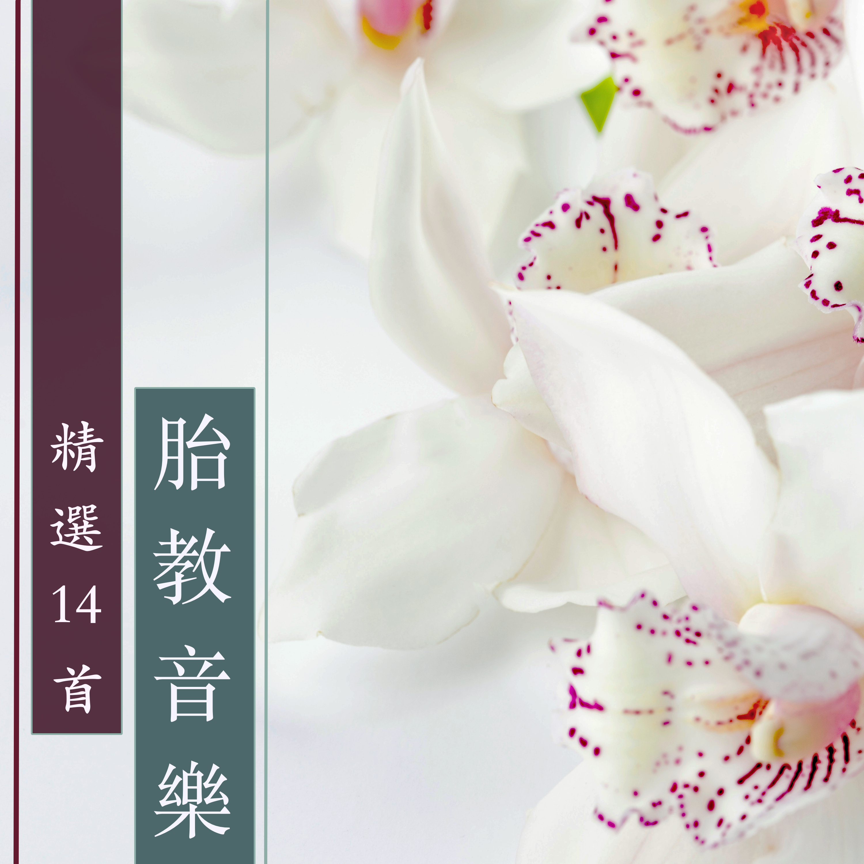 huai yun chun yin le