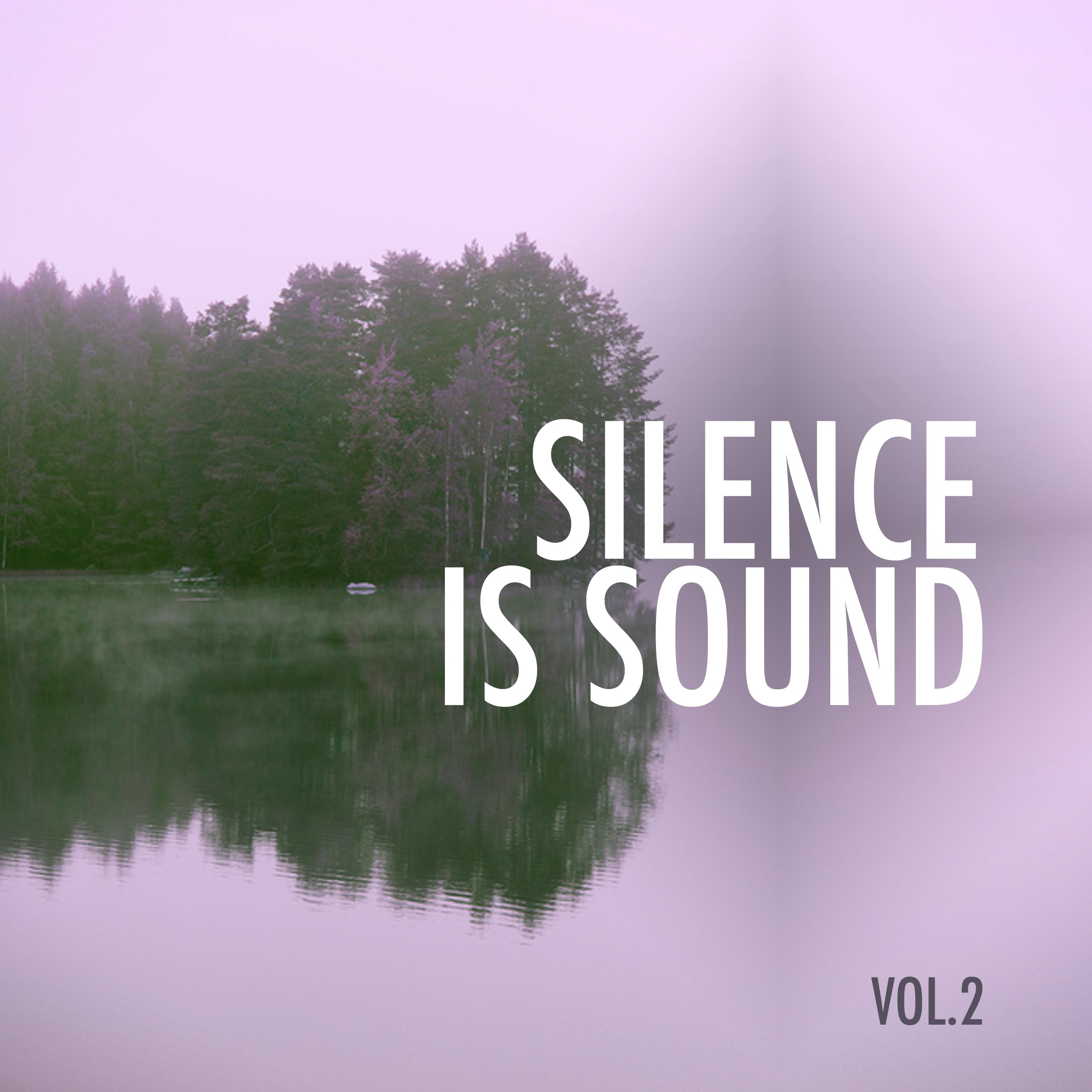 Silence Is Sound, Vol. 2