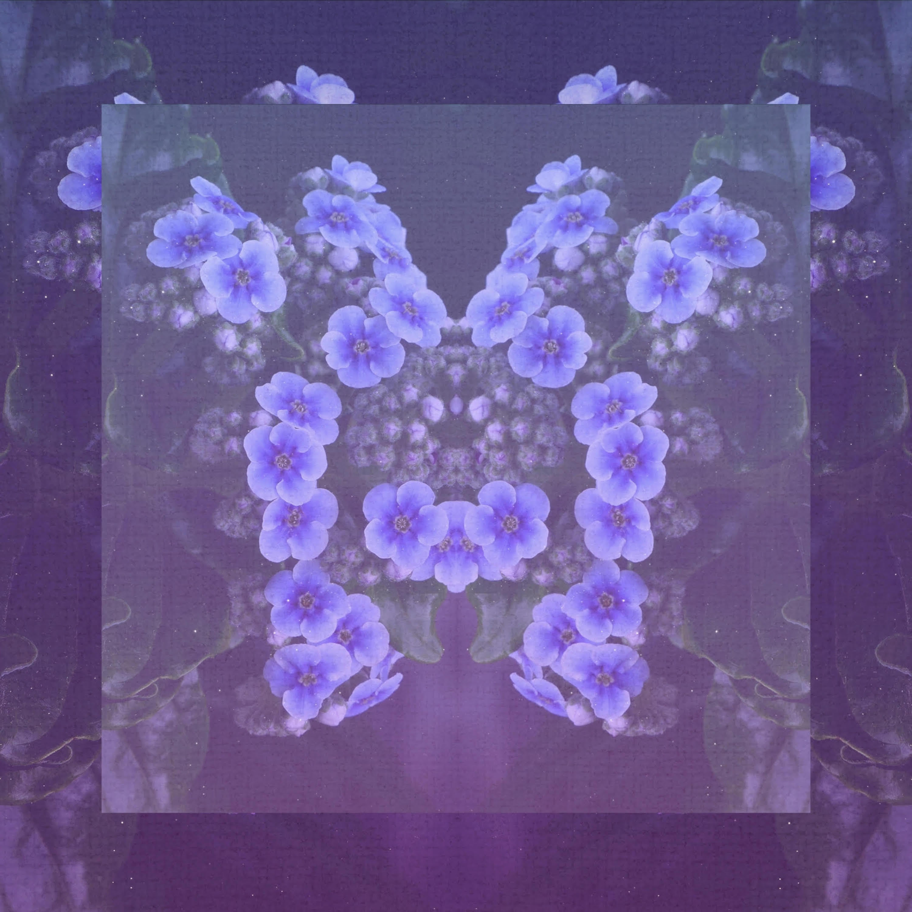 Lay Back // Slow Dive // Echo