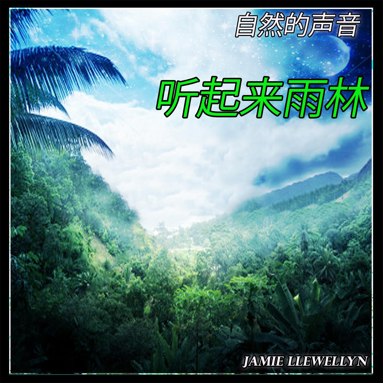 yin yue yu hai de sheng yin